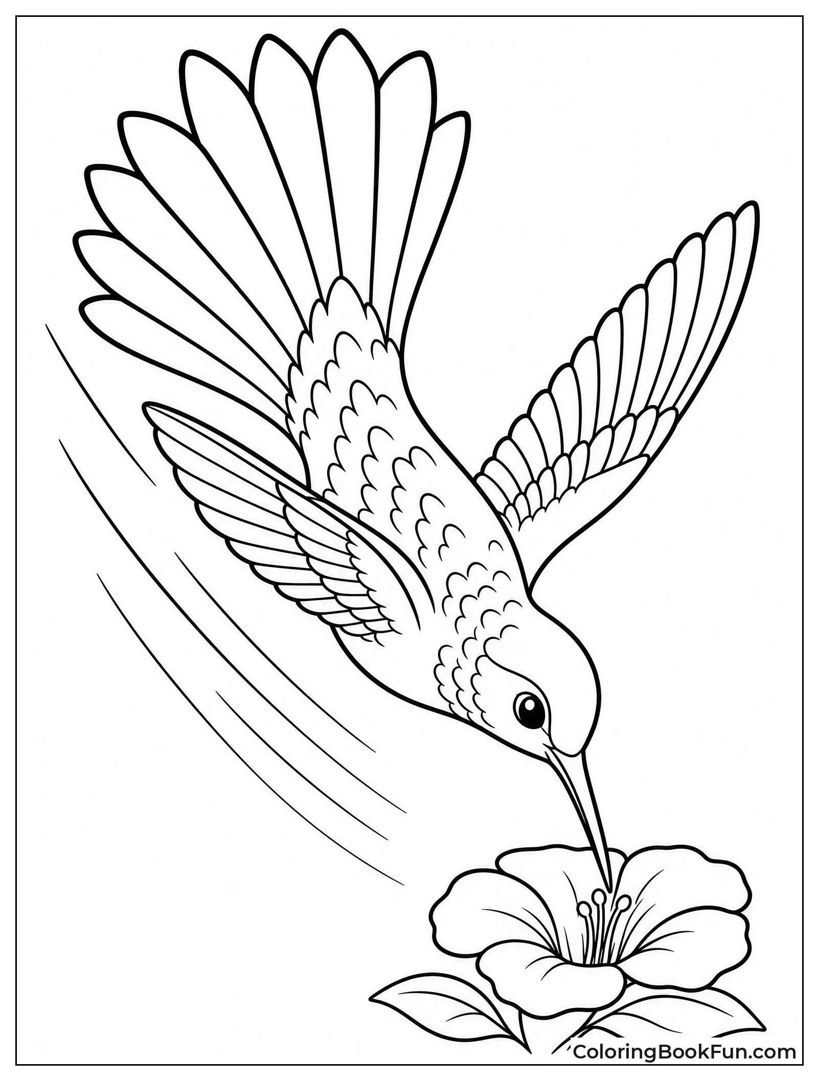 Hummingbird Diving Fast Through Air