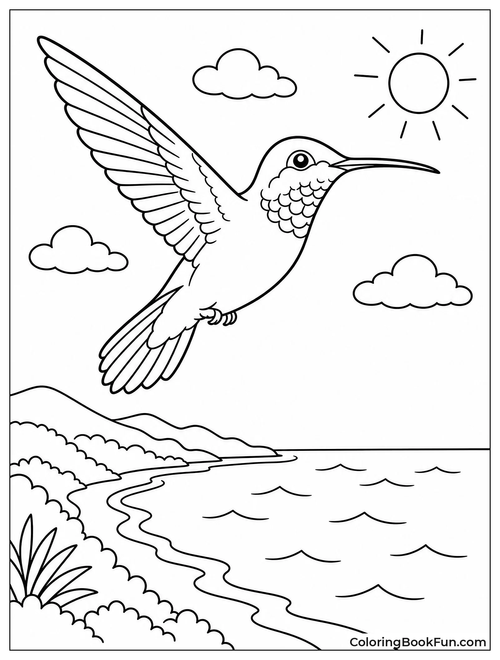 Hummingbird Flying Over the Coast