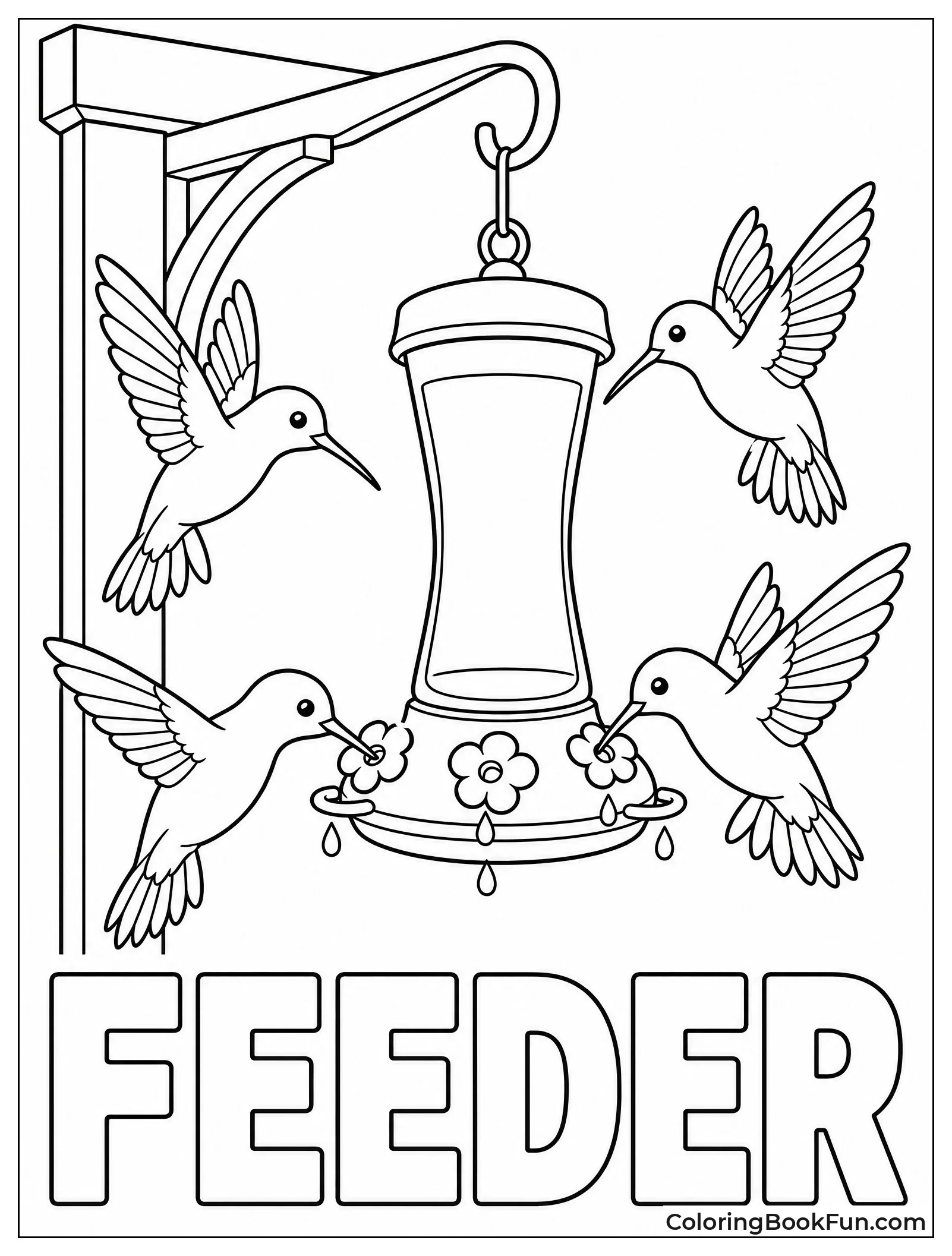 Hummingbirds Visiting a Red Feeder
