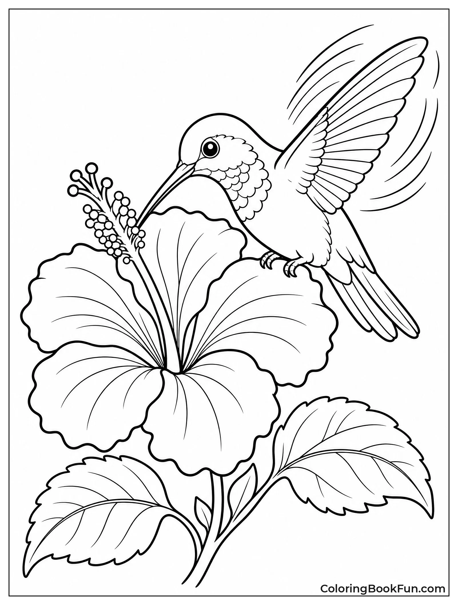 Hummingbird Resting on Hibiscus Flower