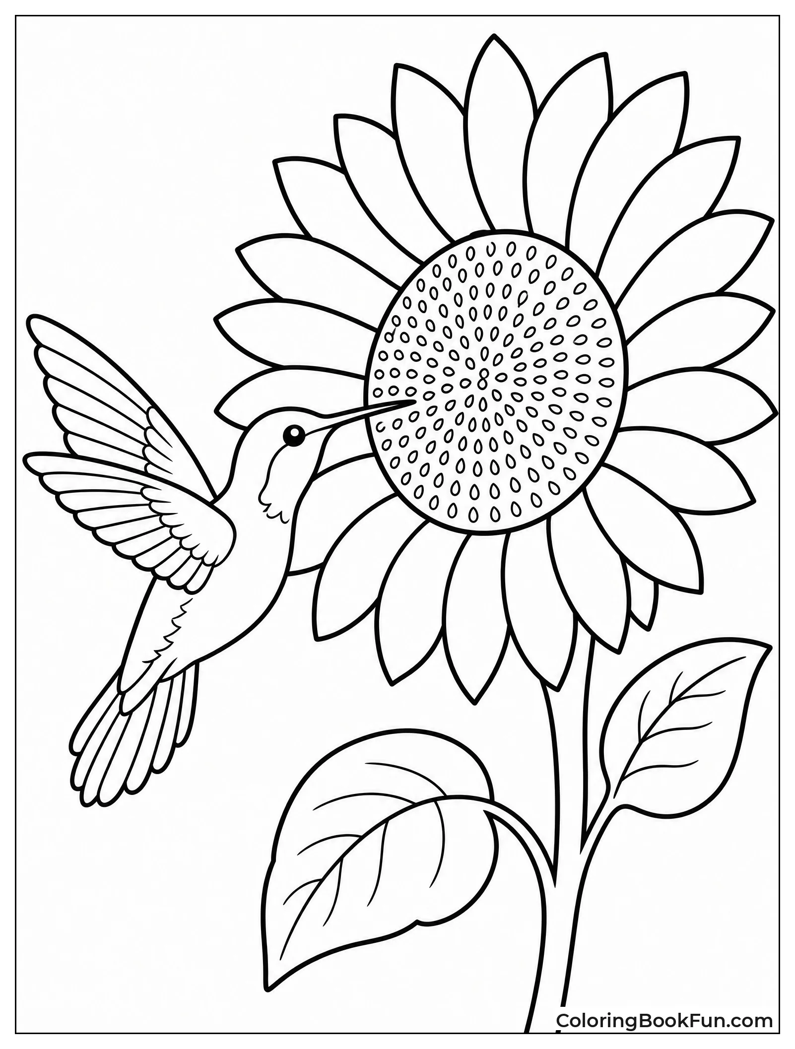 Hummingbird Near Giant Sunflower