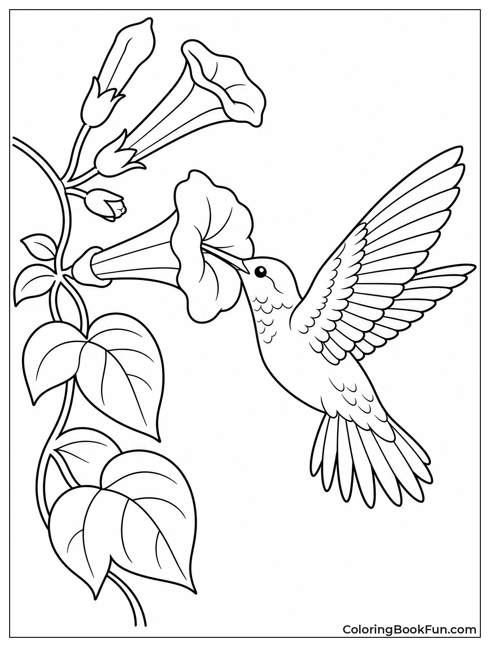 Hummingbird Inside Trumpet Vine Flower