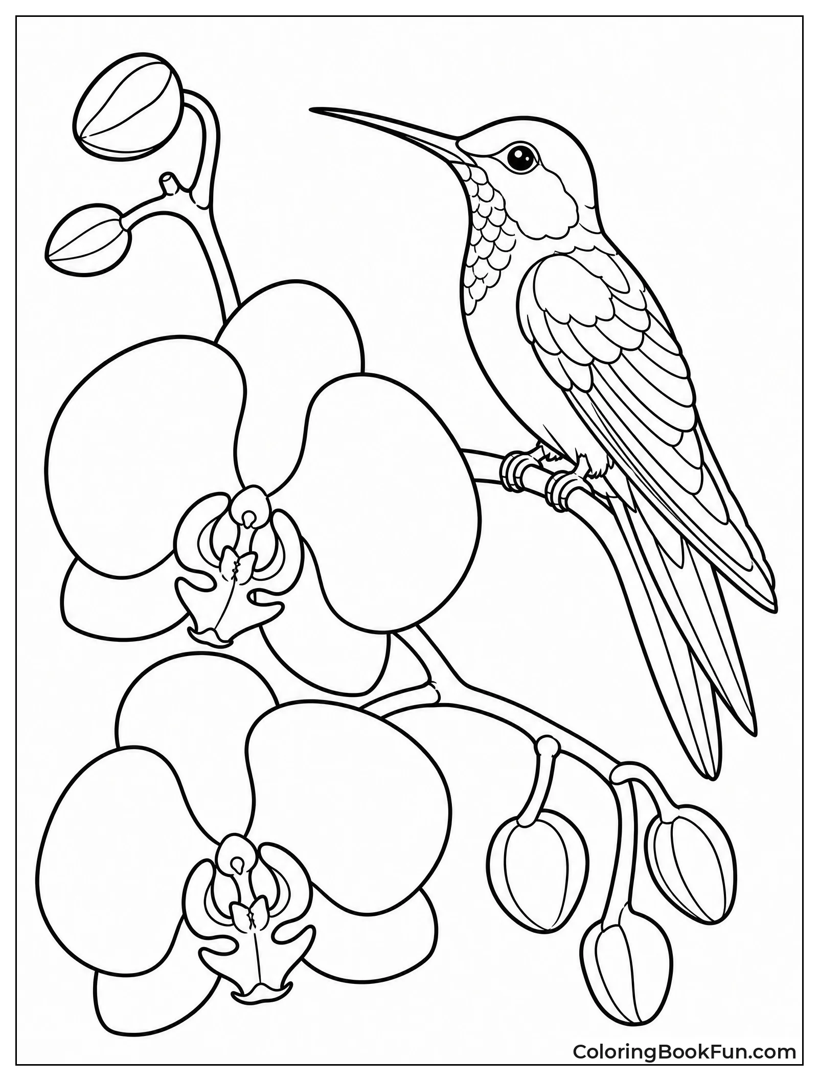 Vintage Hummingbird on Orchid Branch