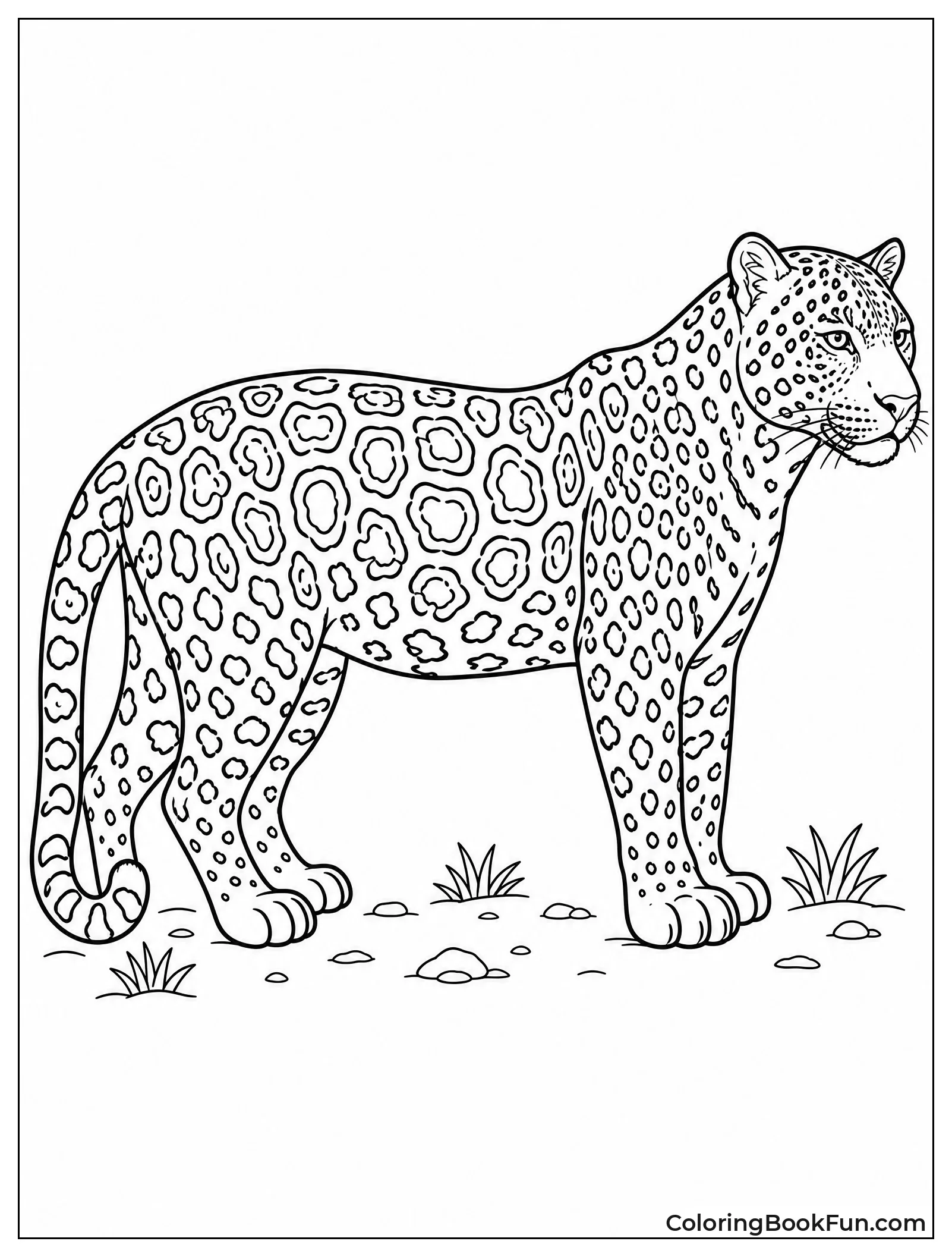 Jaguar Showing Detailed Rosette Spots