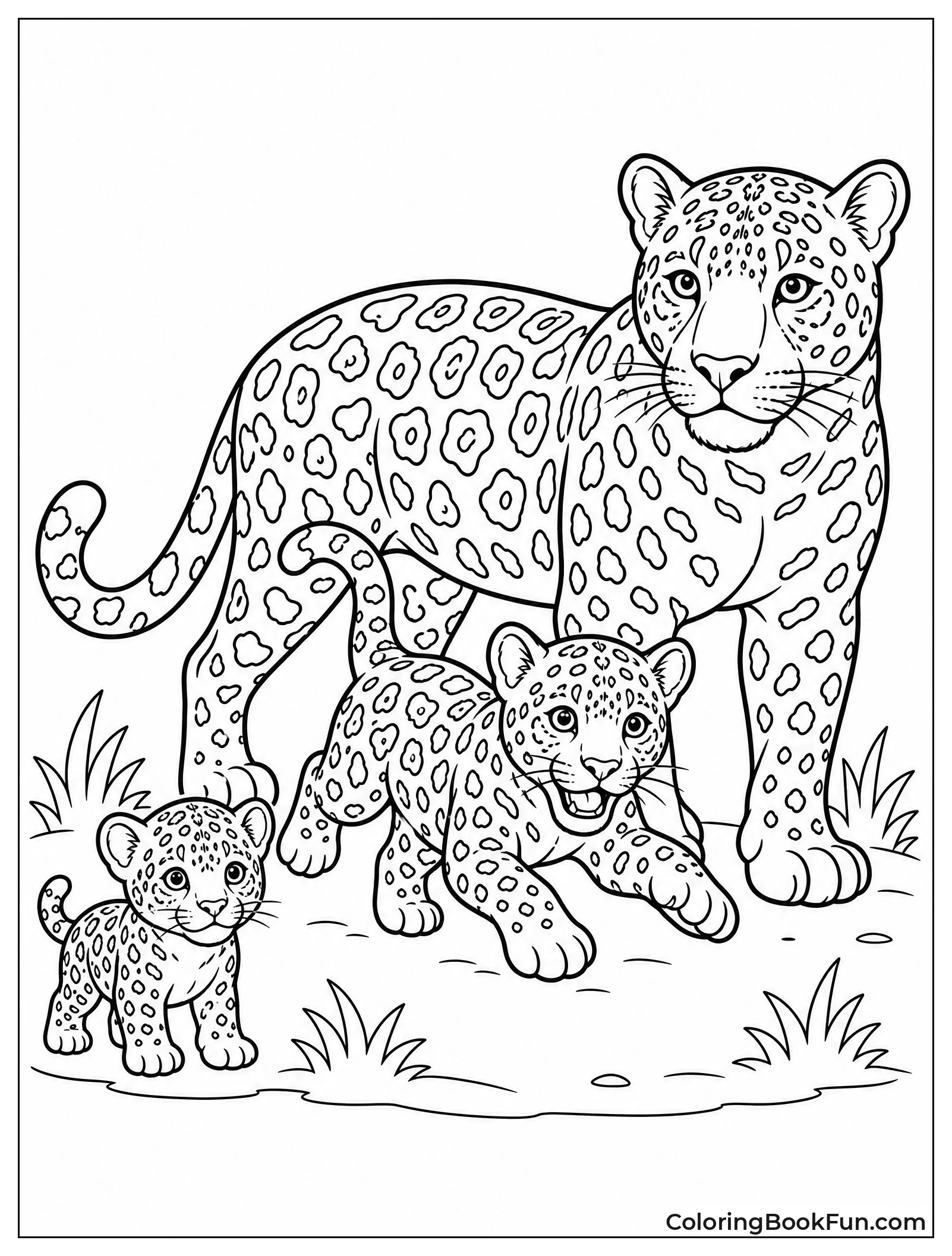 Jaguar at Three Growth Stages