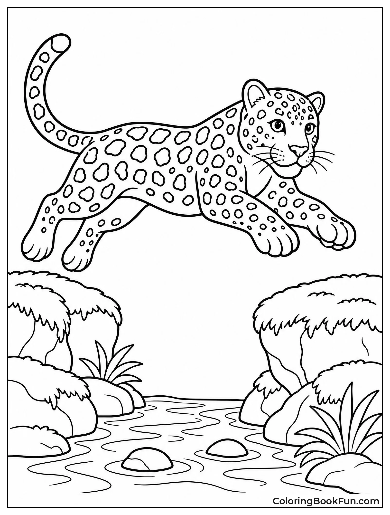 Jaguar Jumping Over a Stream