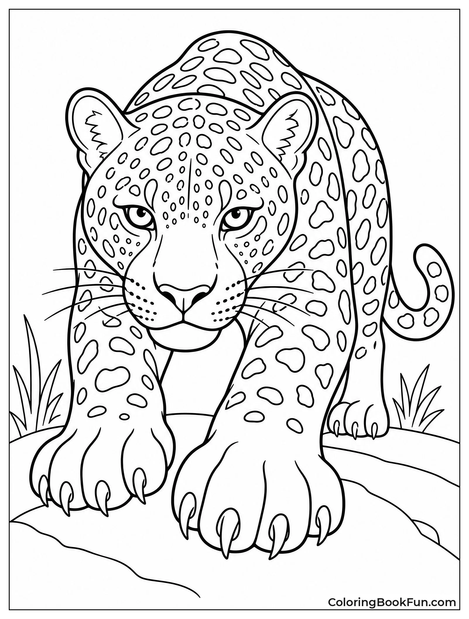 Close Look at Jaguar Paws