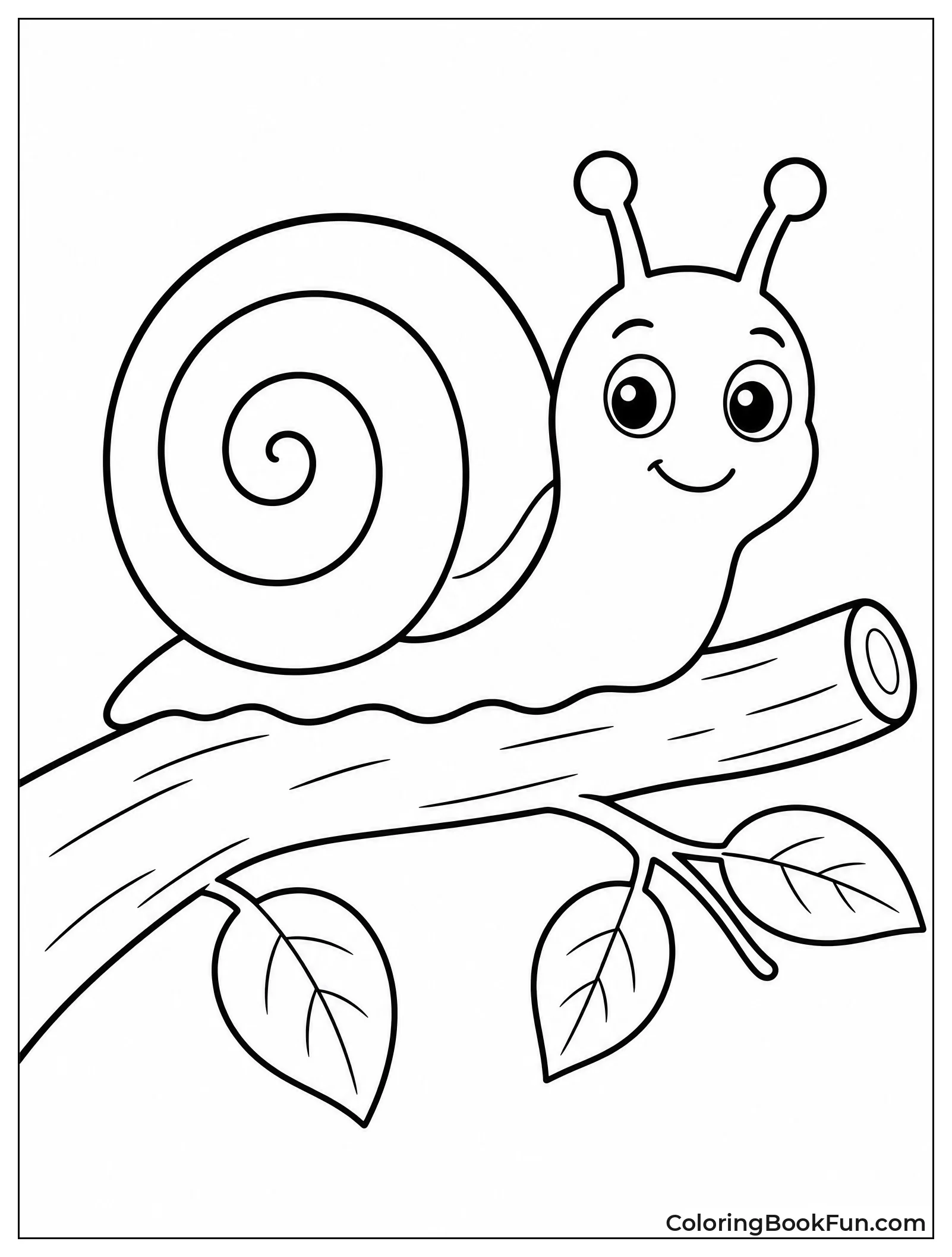 Young Snail Perches On Twig