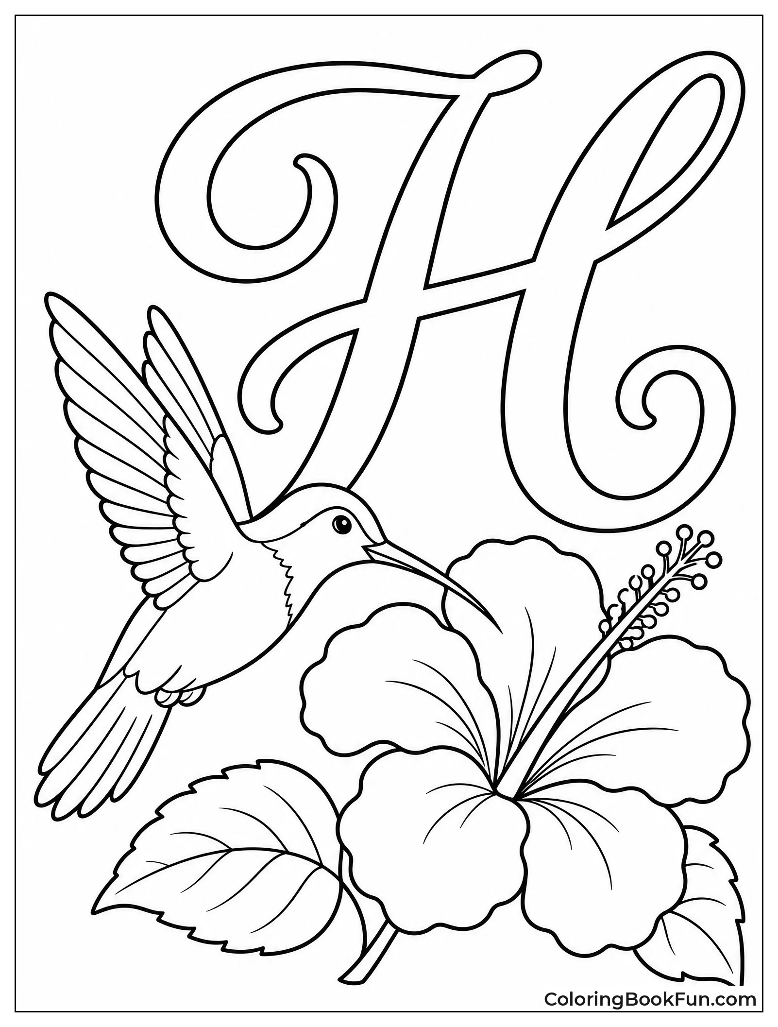 Hummingbird Hovers near Hibiscus H