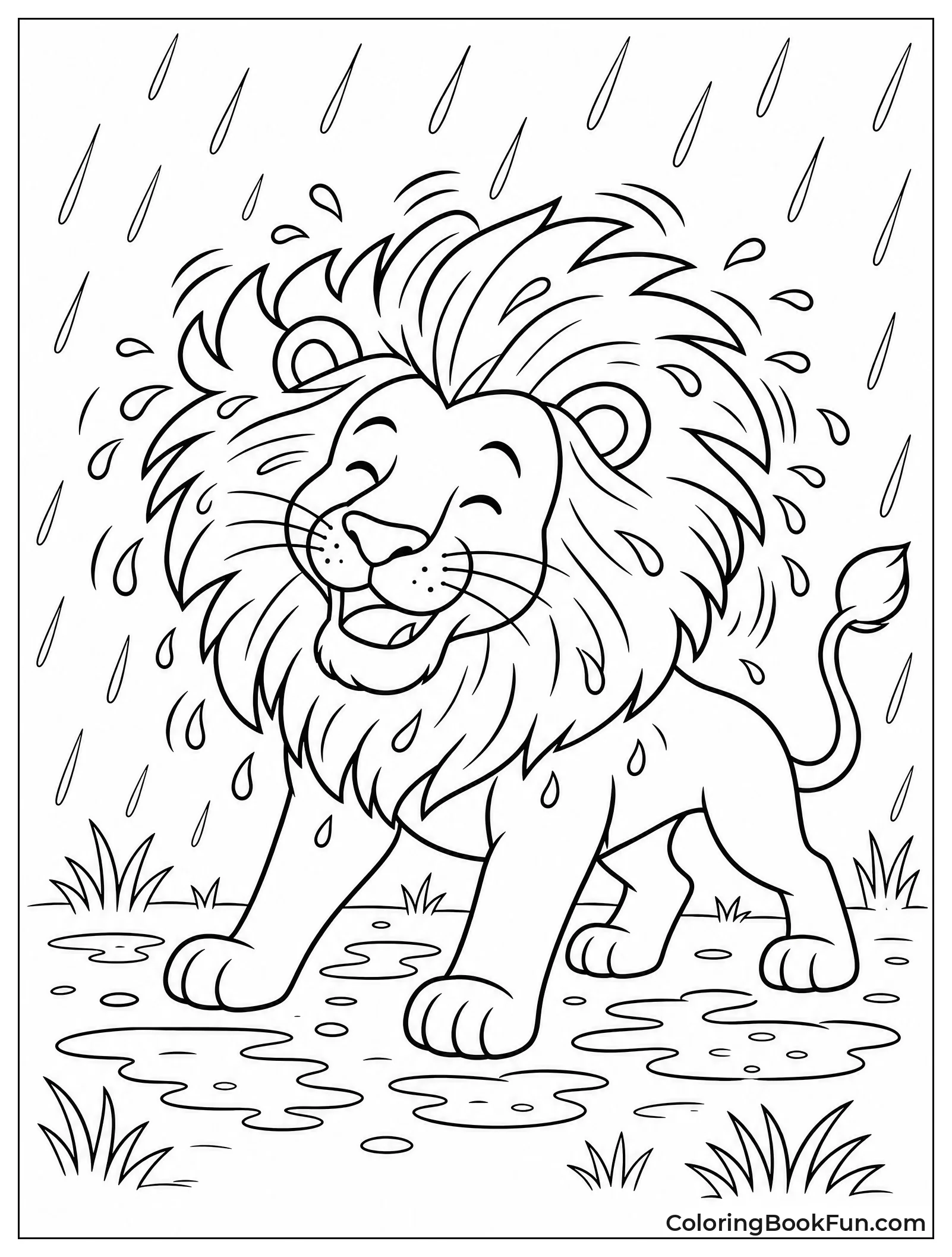 Lion Shaking Mane in Rain