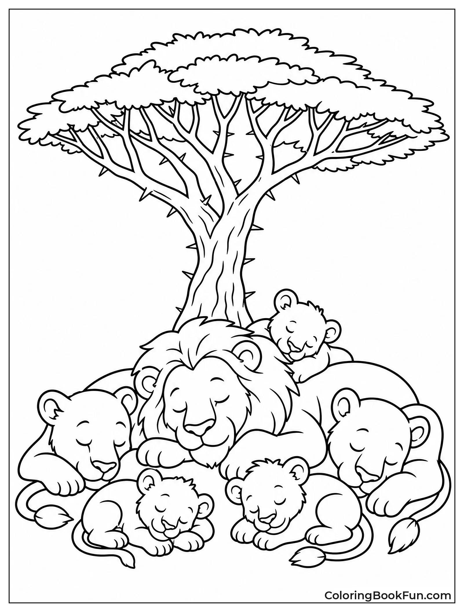 Lions Napping Under Acacia Tree