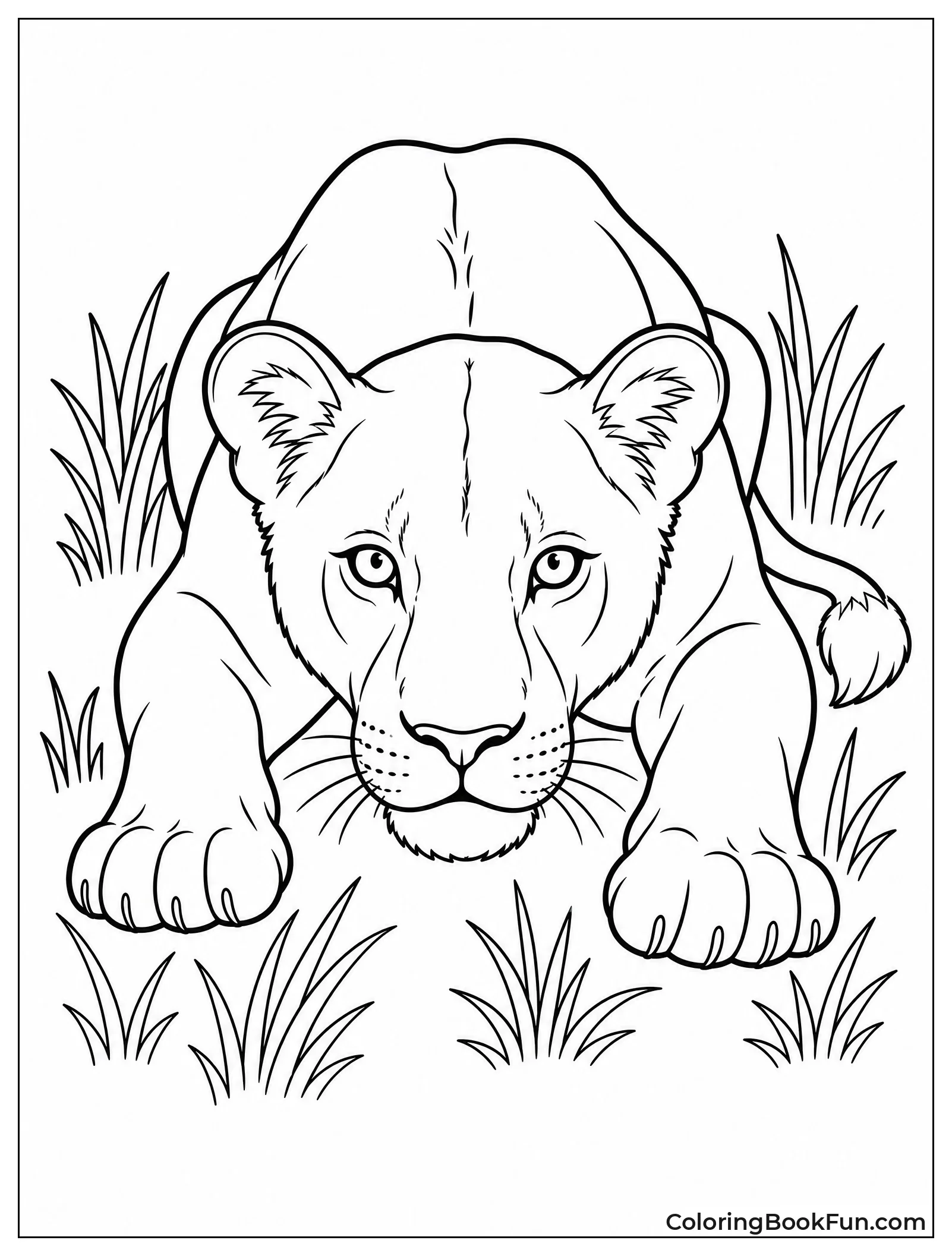 Lioness Stalking Prey in Grass