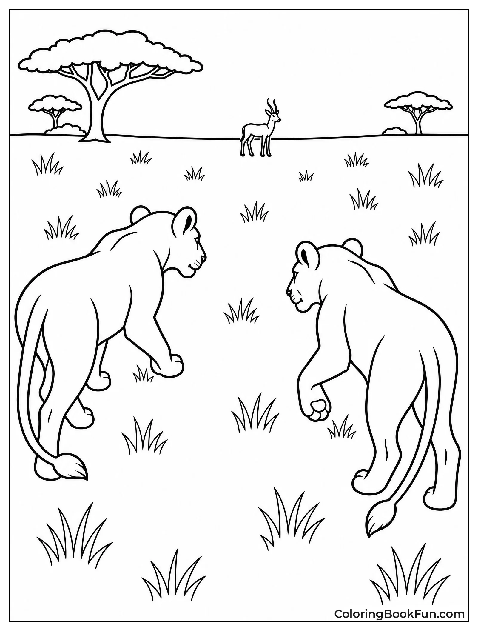 Lionesses Hunting Together on Plains