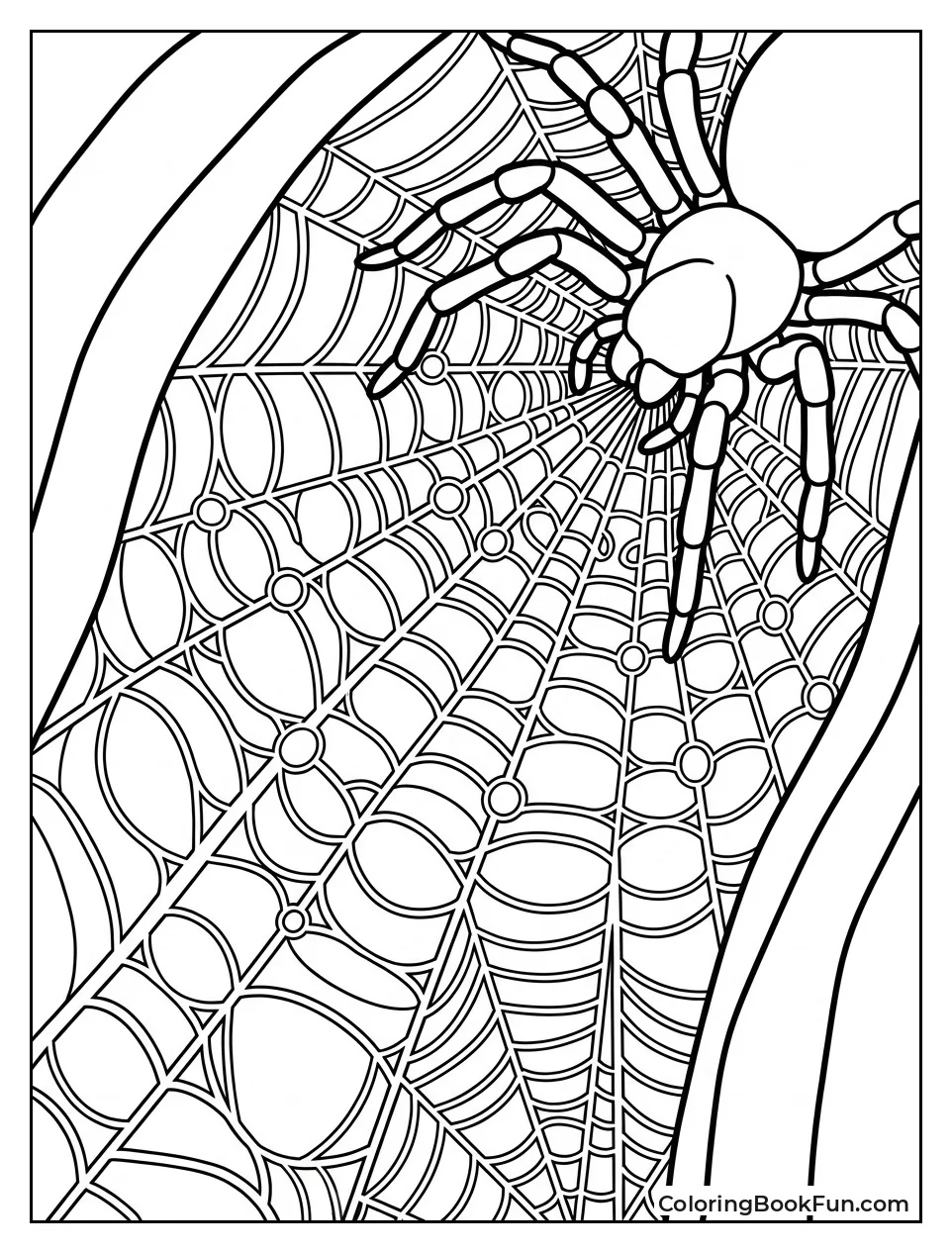 Giant Spider Hiding in Tunnel