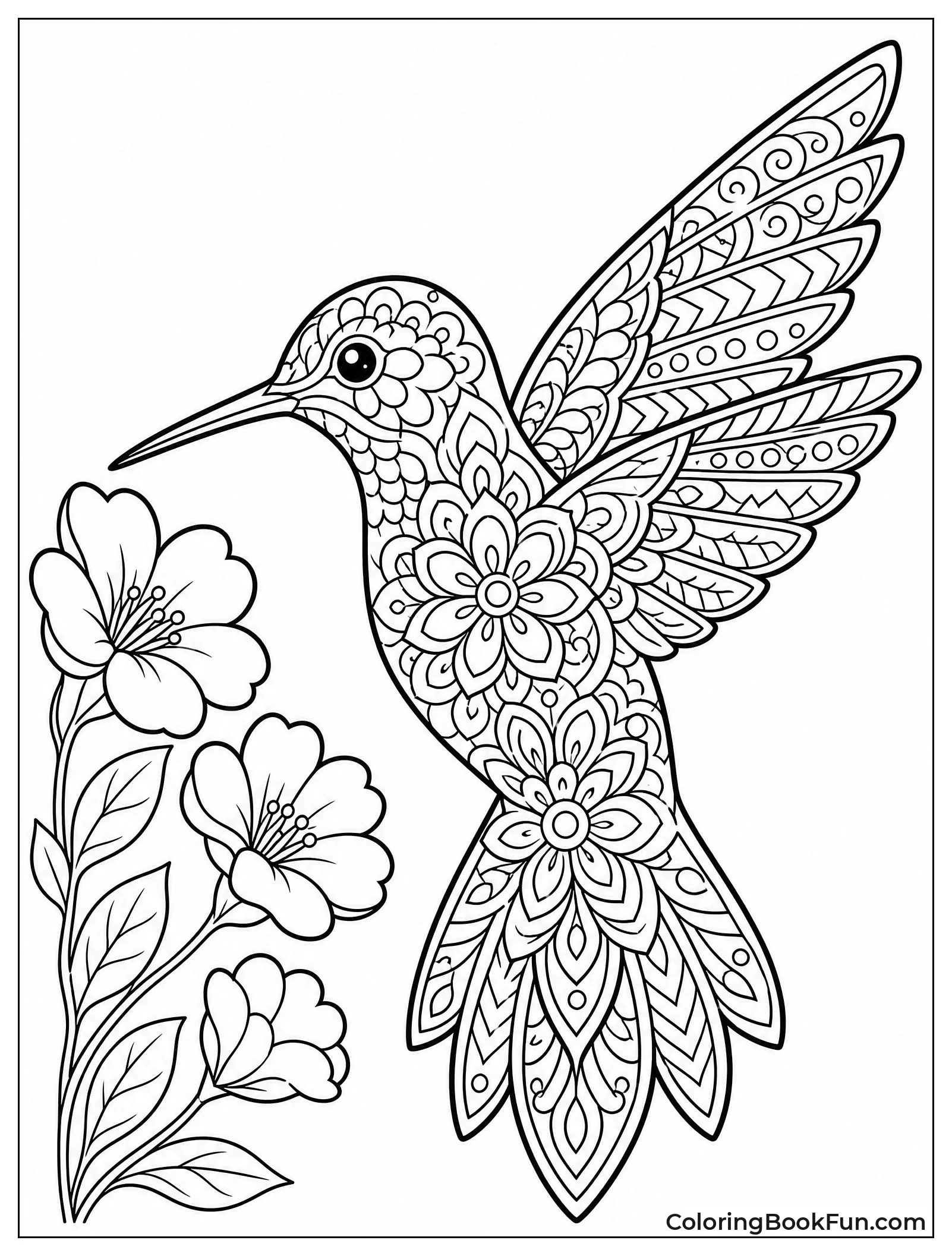 Mandala Hummingbird With Floral Patterns