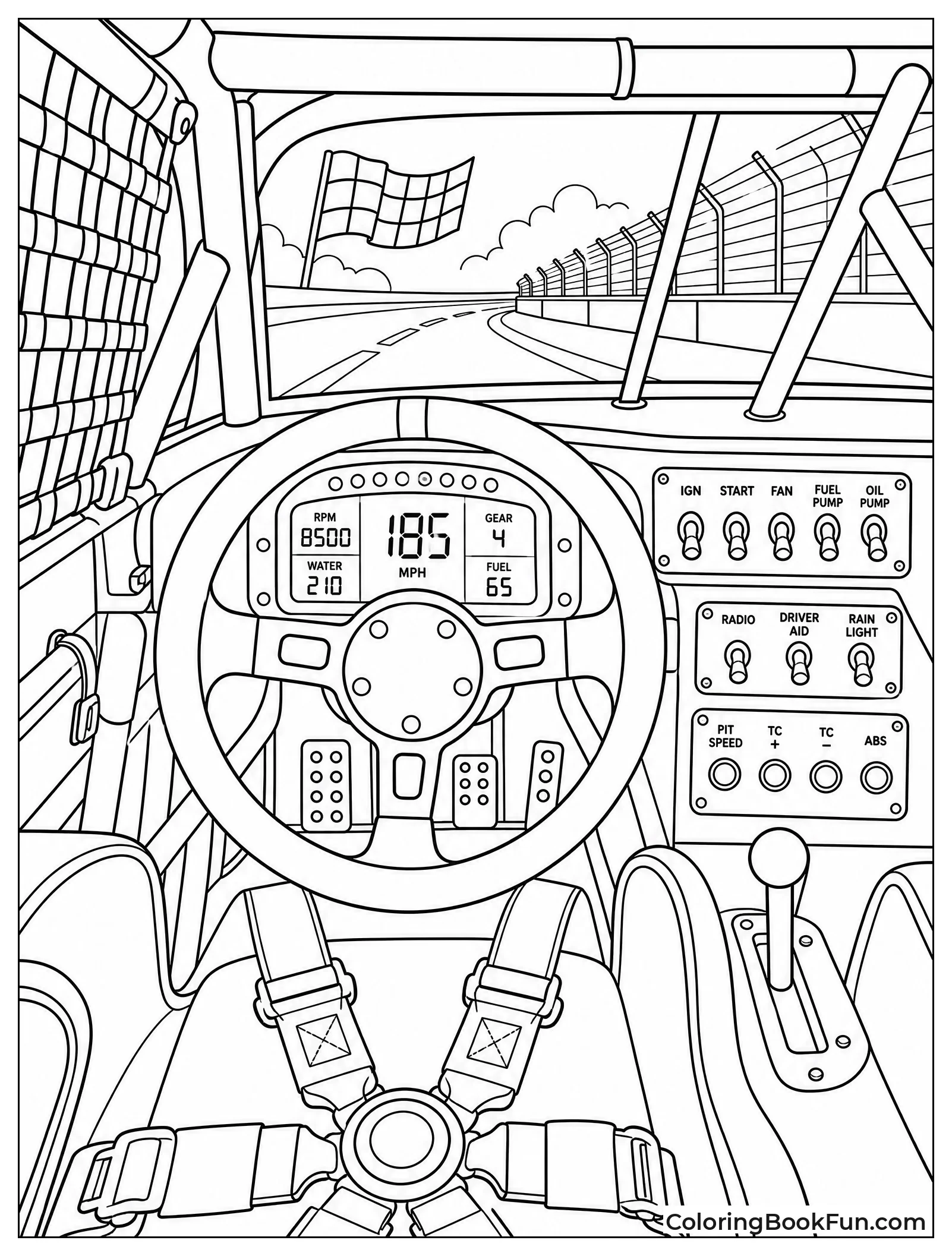 View from Inside the Cockpit