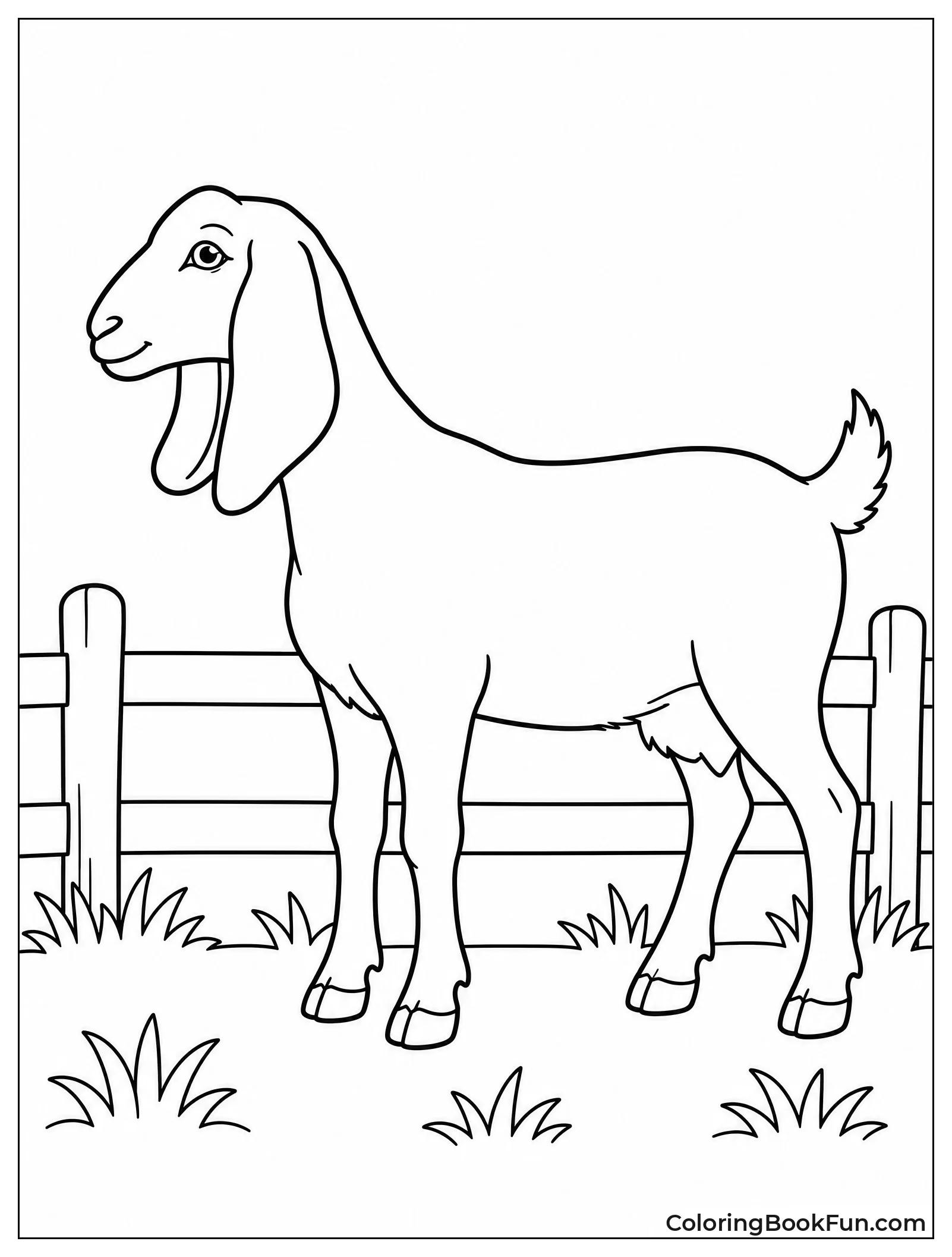 Nubian Goat With Floppy Ears
