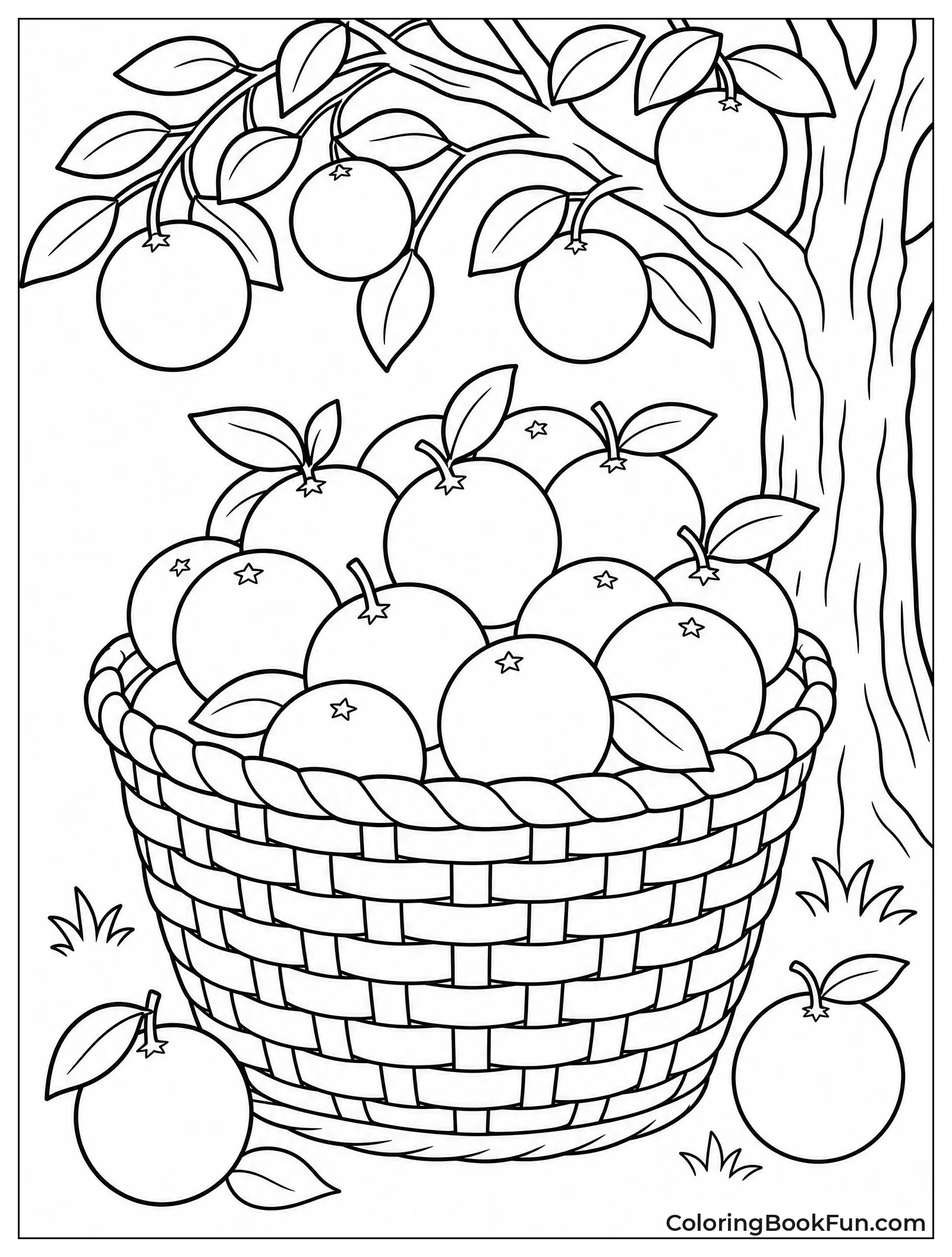Basket Full of Ripe Oranges