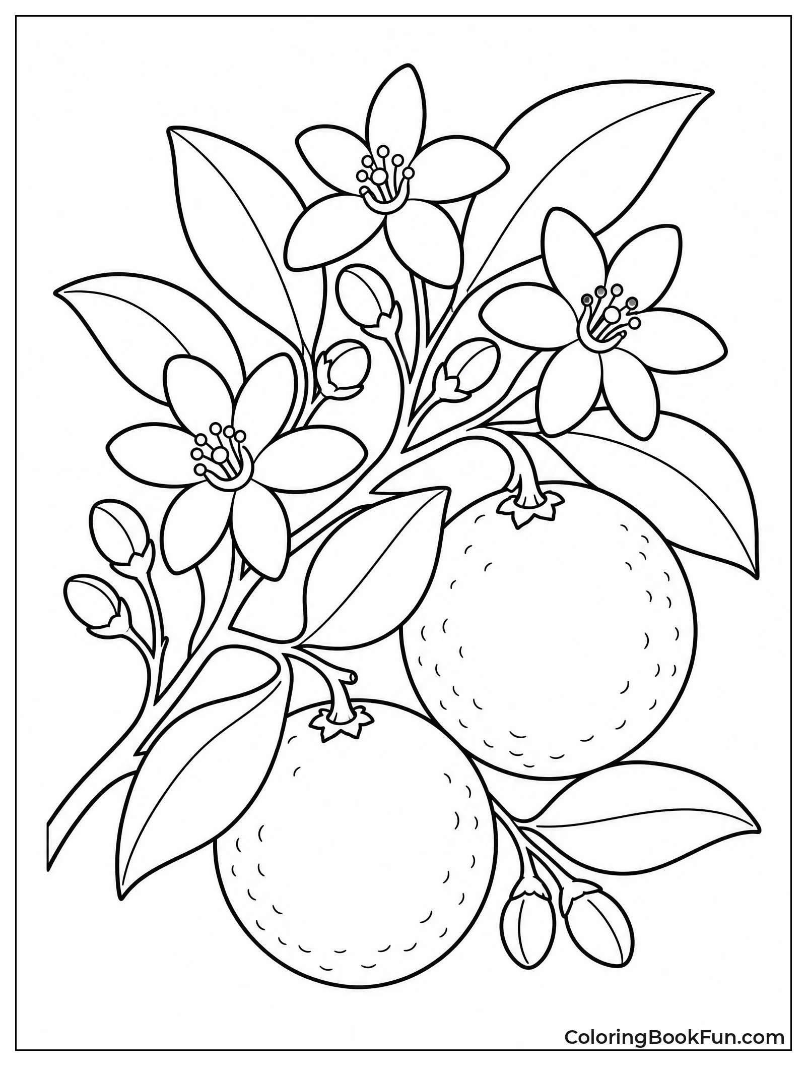 Branch with Delicate Orange Blossoms