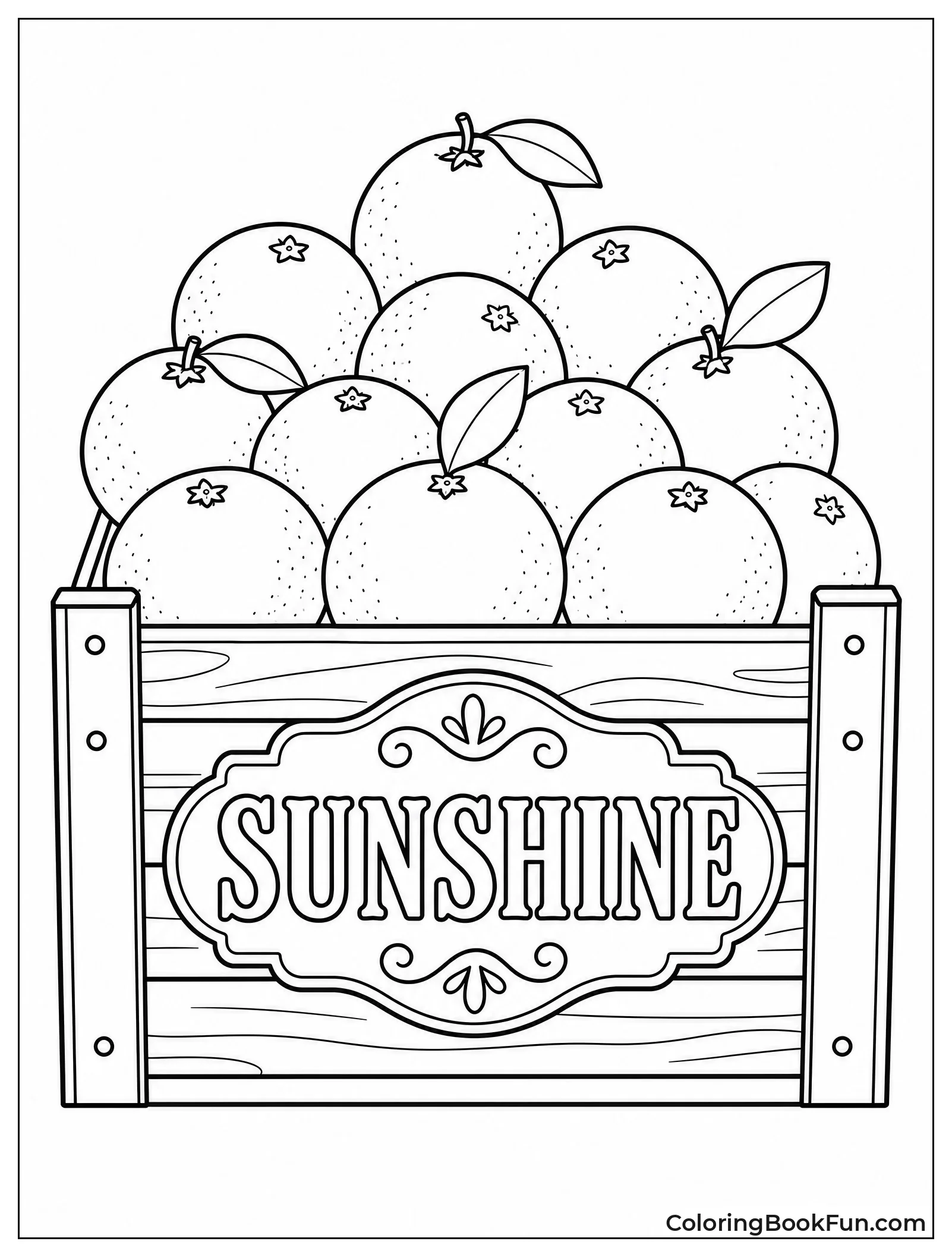 Crate Packed with Fresh Oranges