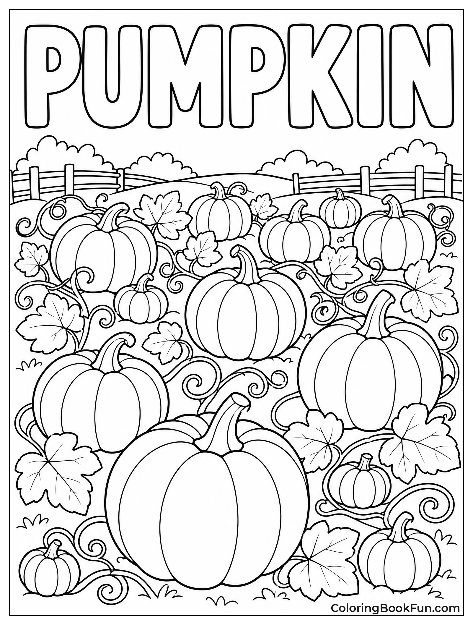 Field of Round Orange Pumpkins