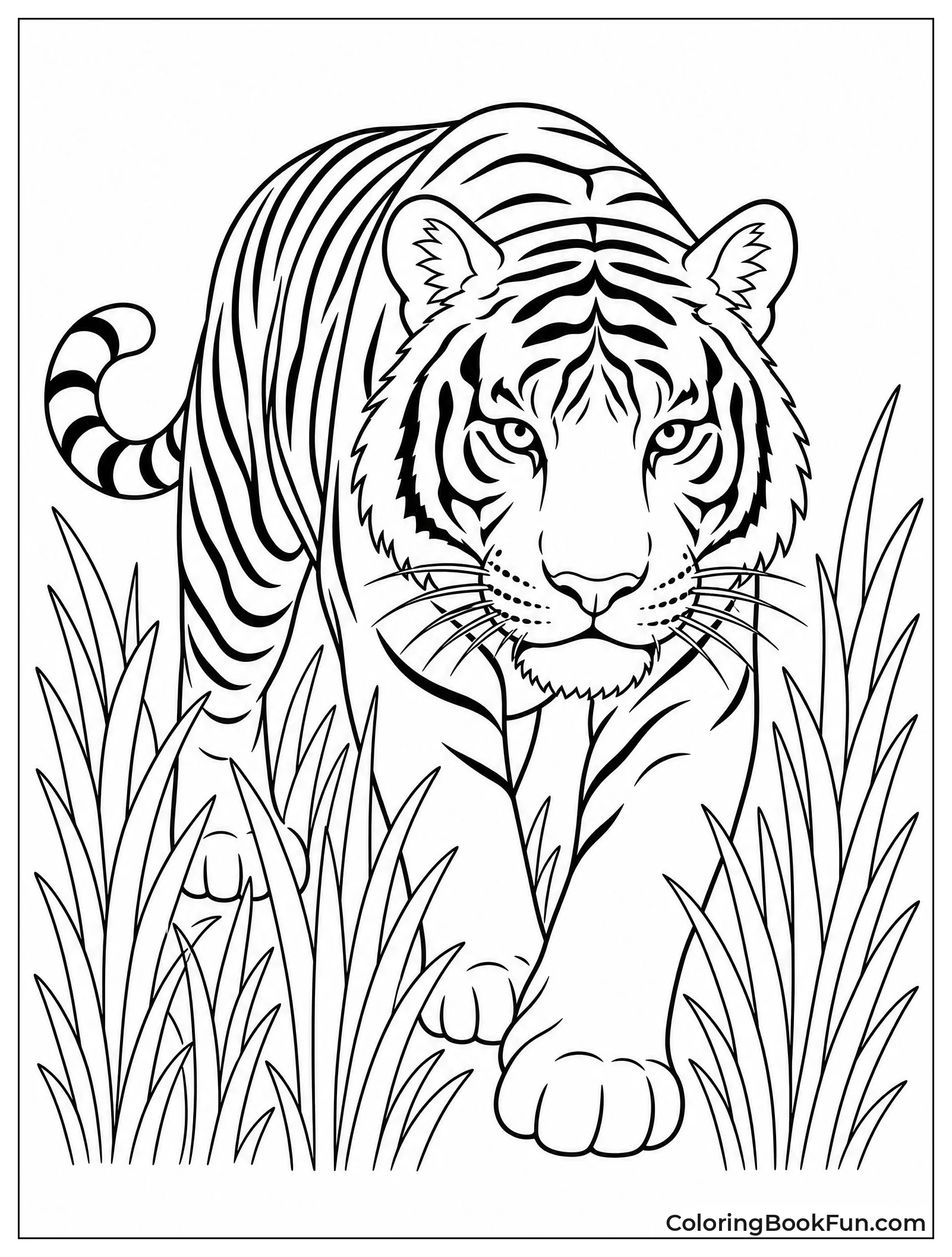 Tiger Walking Through Tall Grass