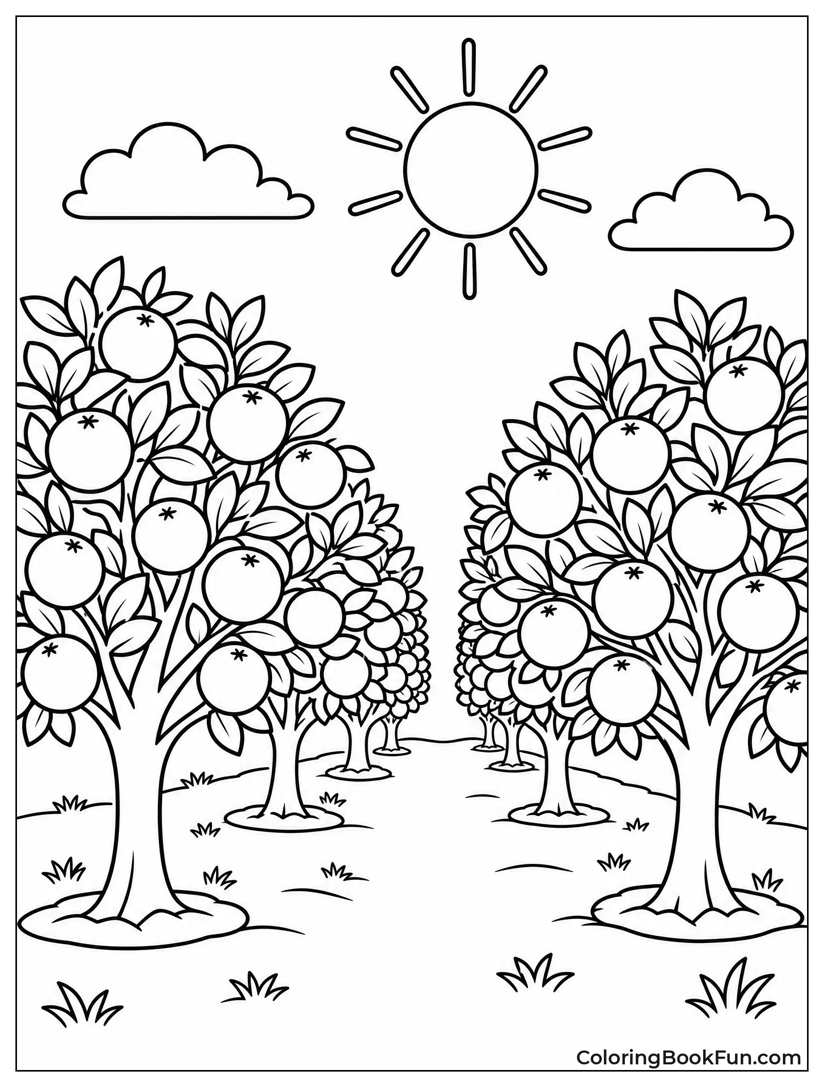 Orchard Full of Orange Trees