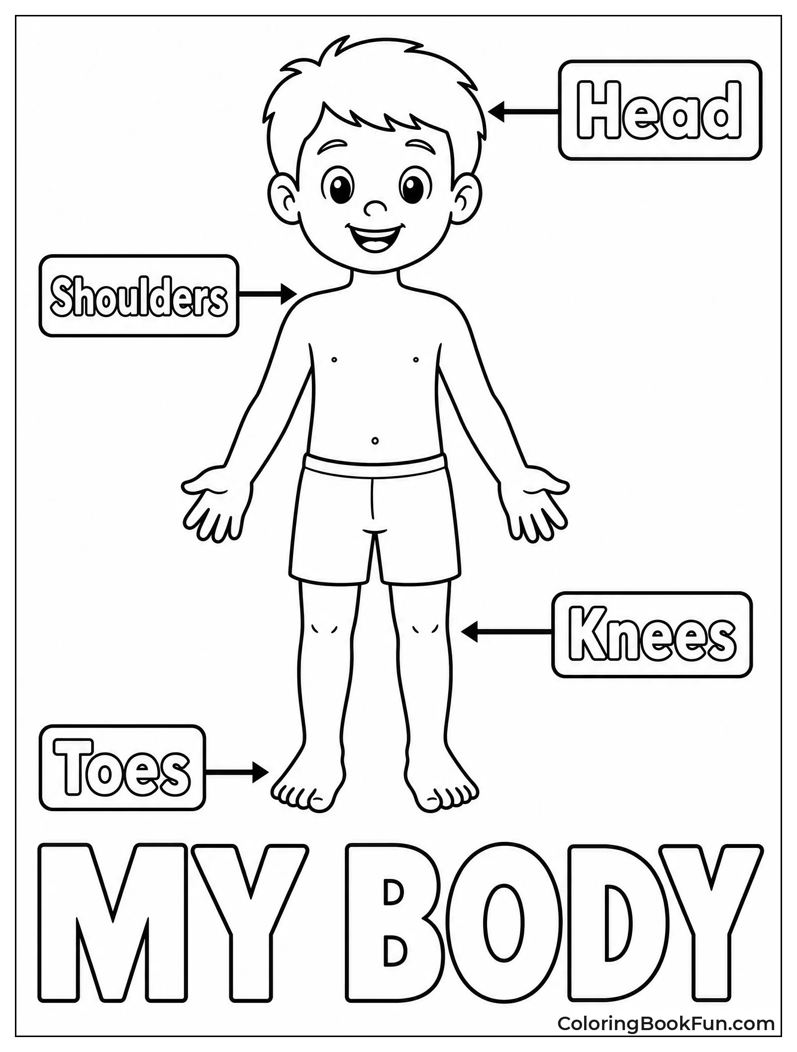 Labeled Diagram of Body Parts