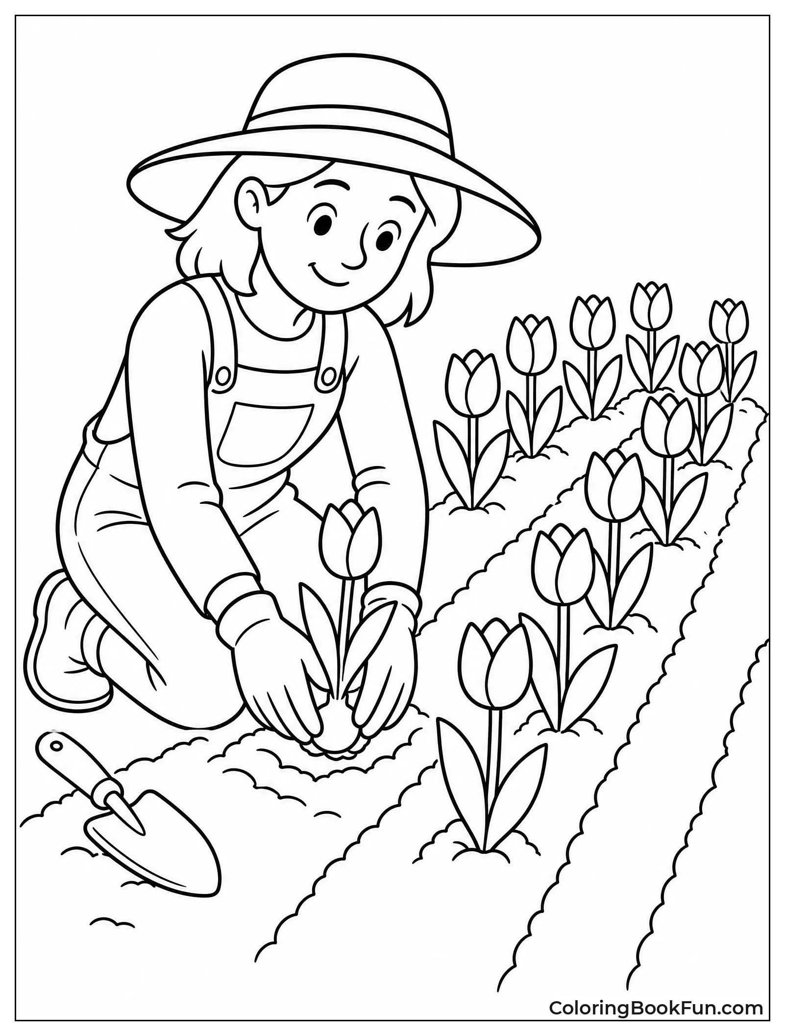 Person Planting Tulips in Garden