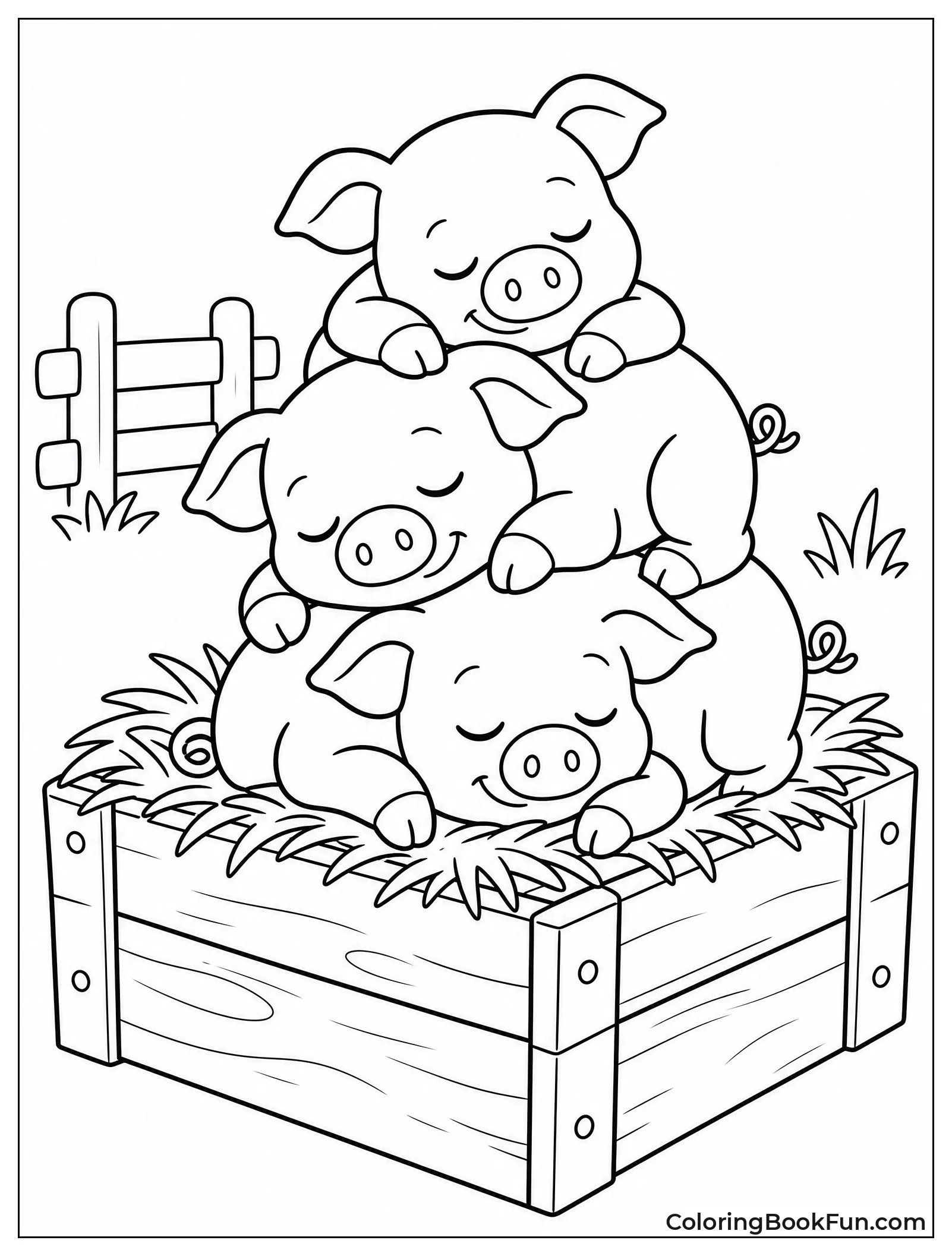 Piglets Sleeping in Crate