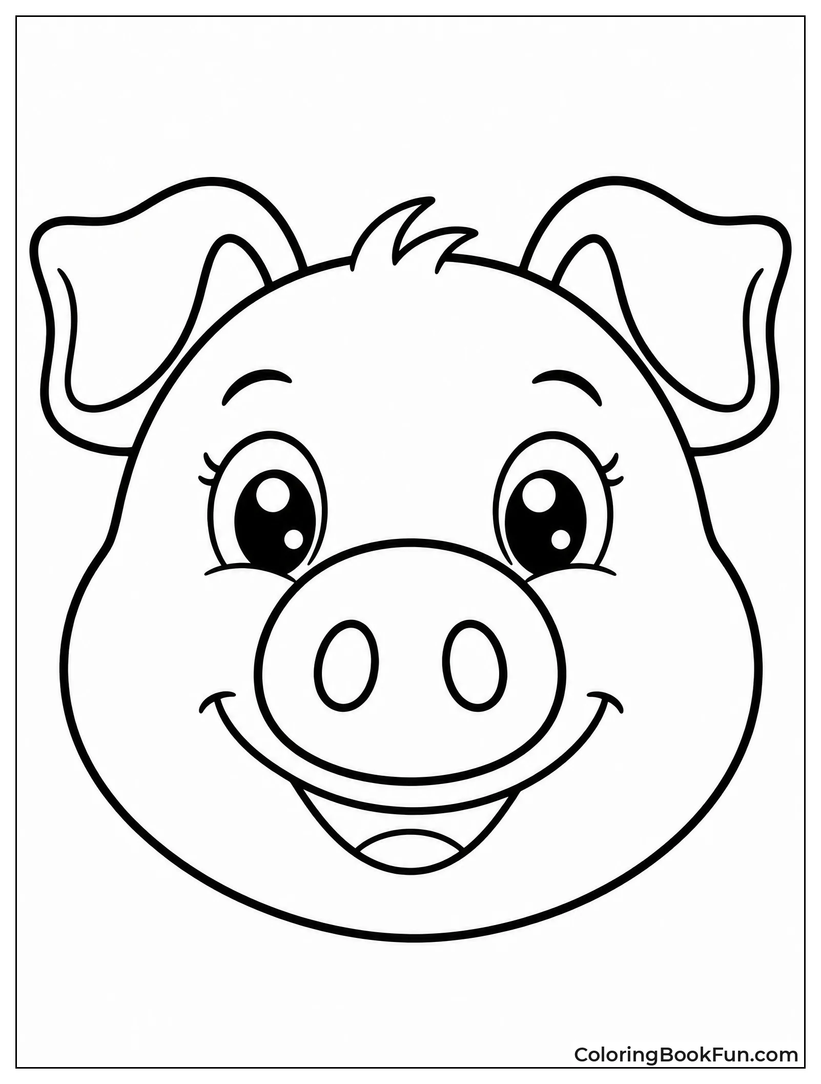 Close-up Happy Pig Face