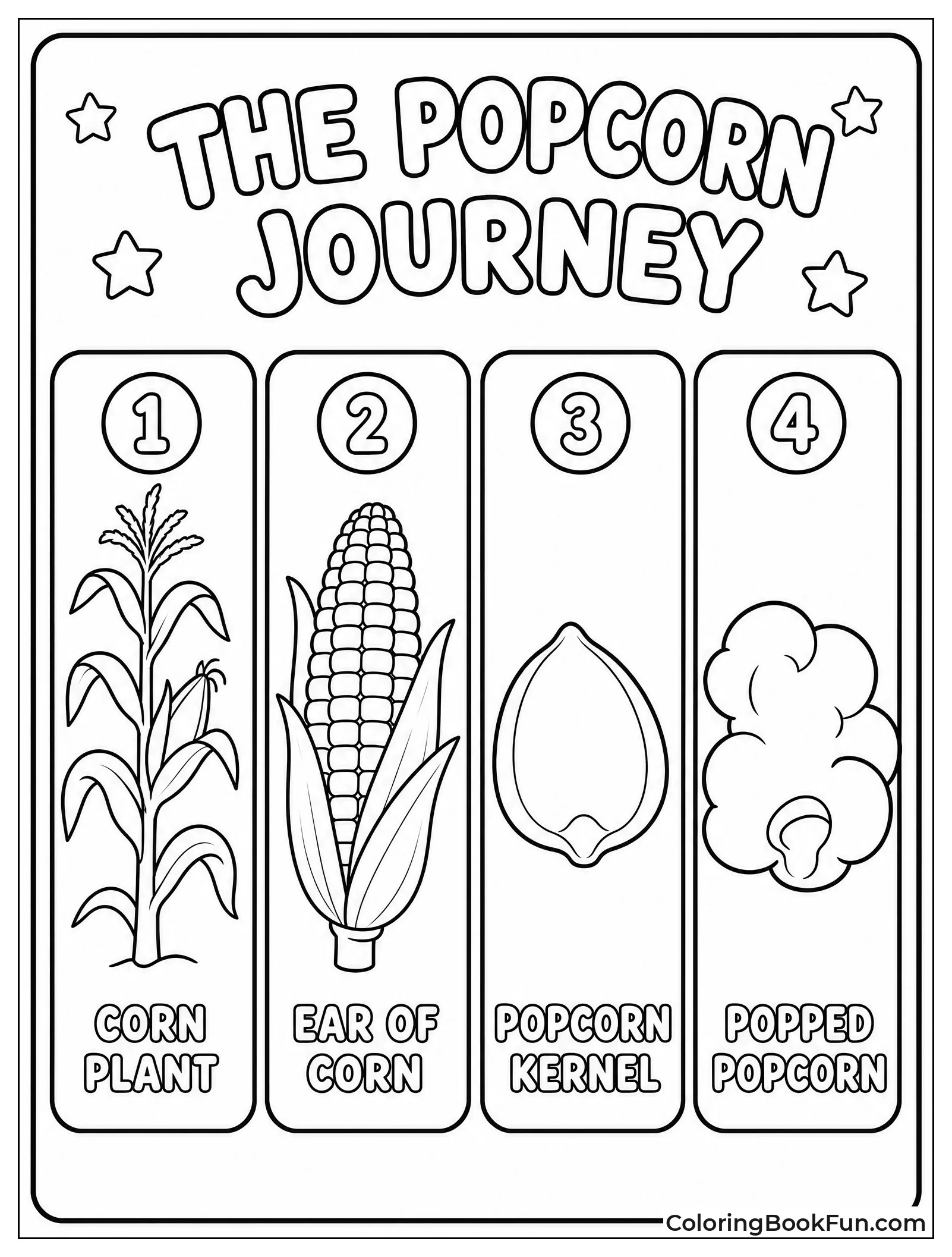 Corn Stalk to Popped Kernel
