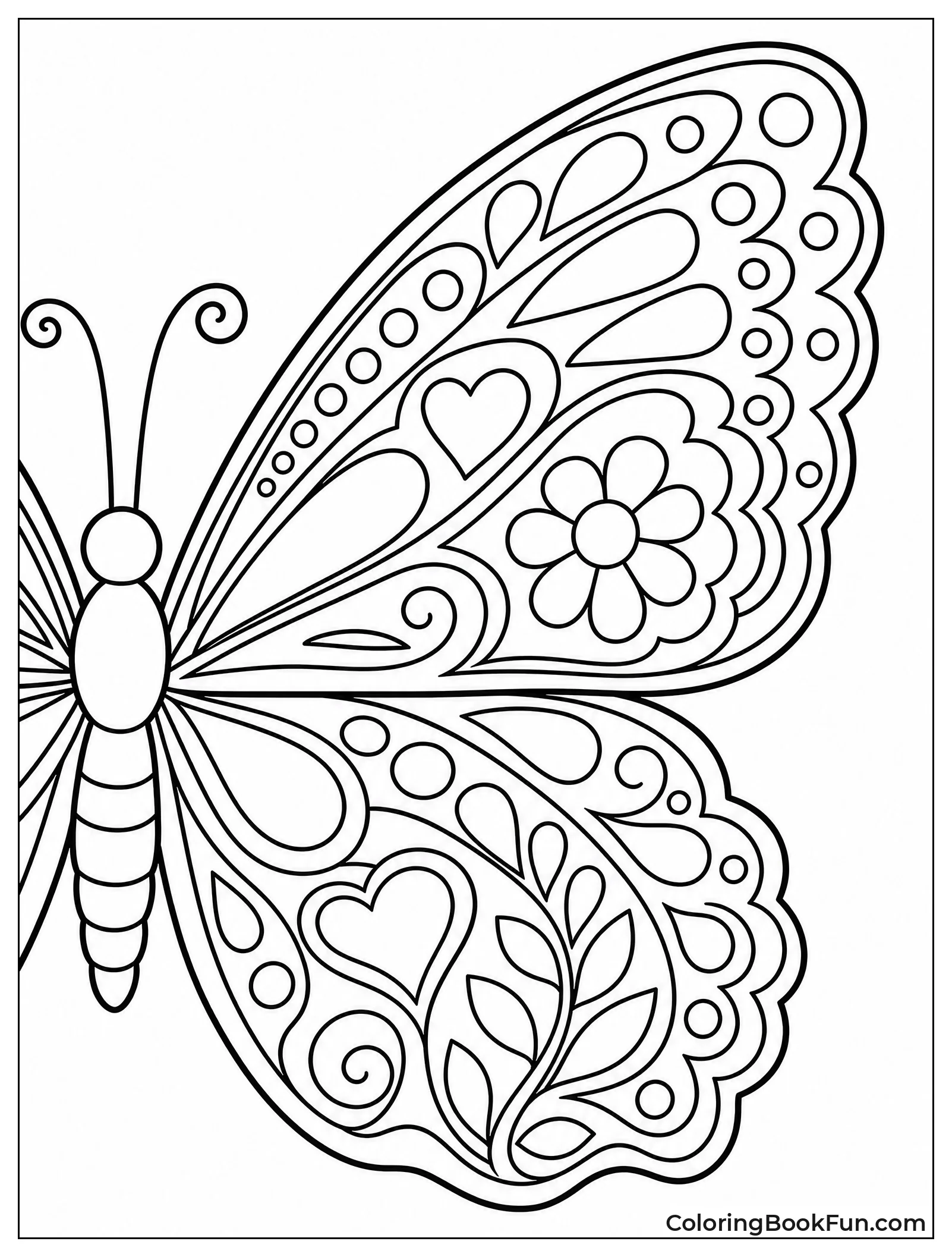 Detailed Butterfly Wing Patterns