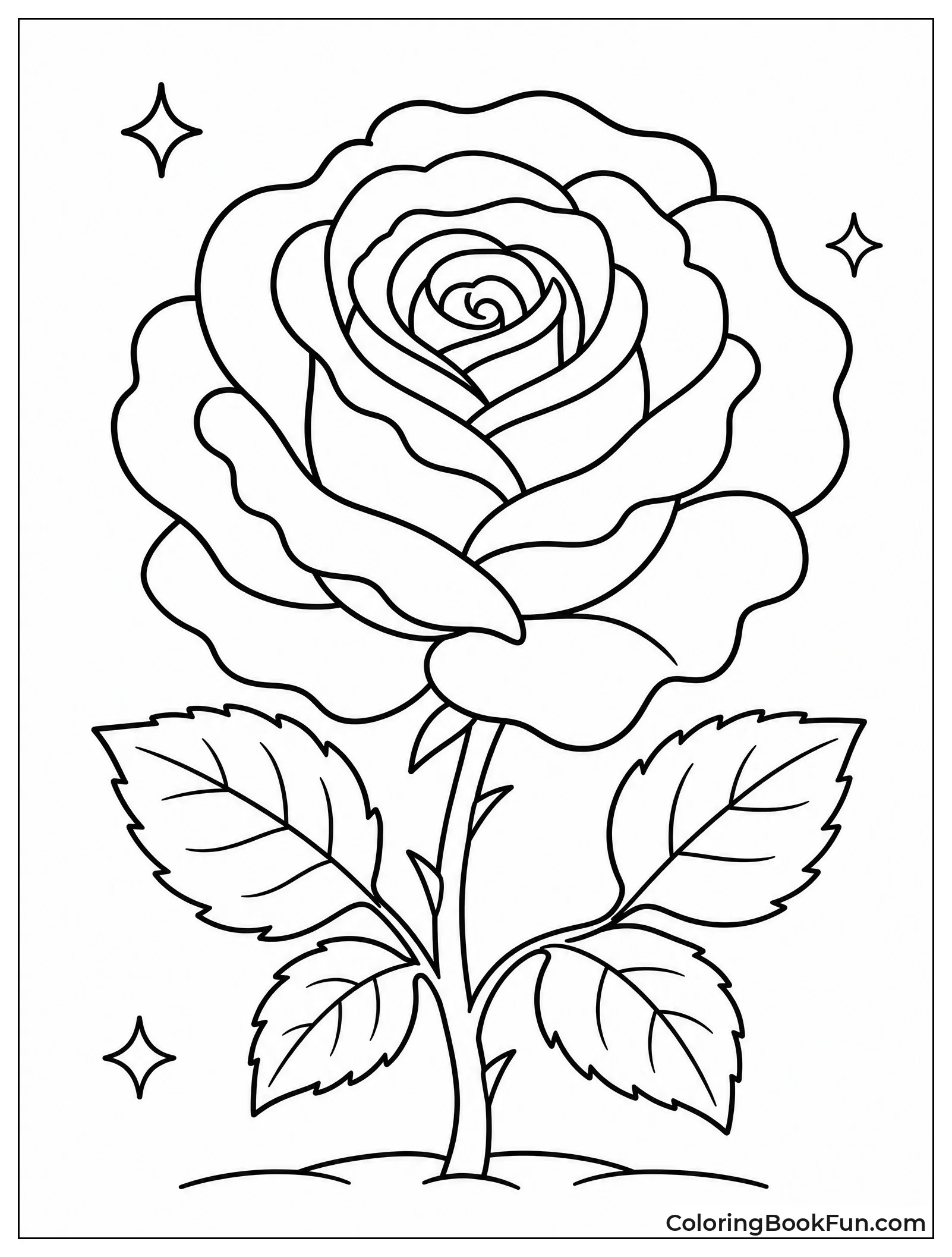 Large Blooming Rose Flower