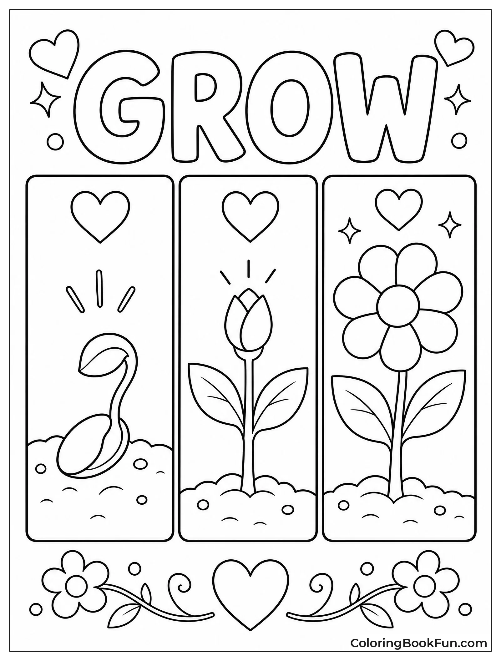 Flower Growing from Seed