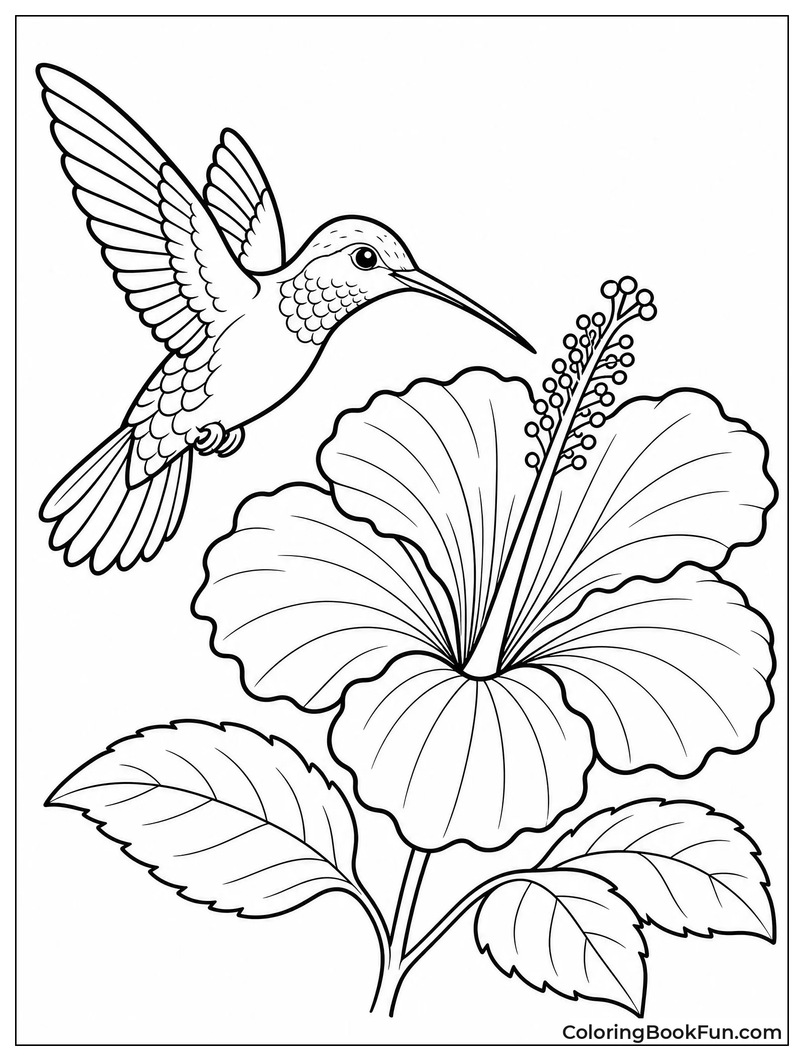 Hummingbird near Hibiscus Bloom