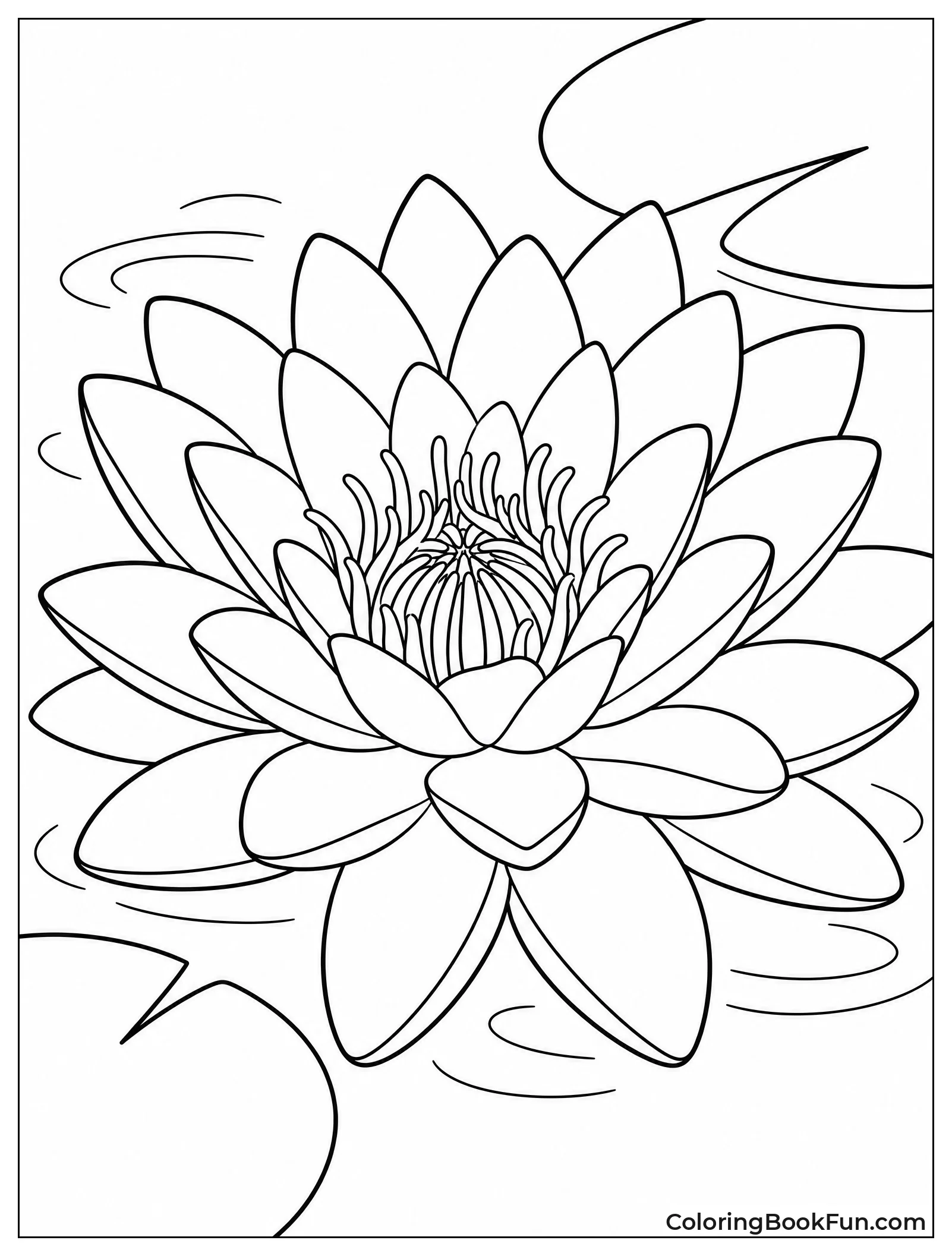 Realistic Water Lily Bloom