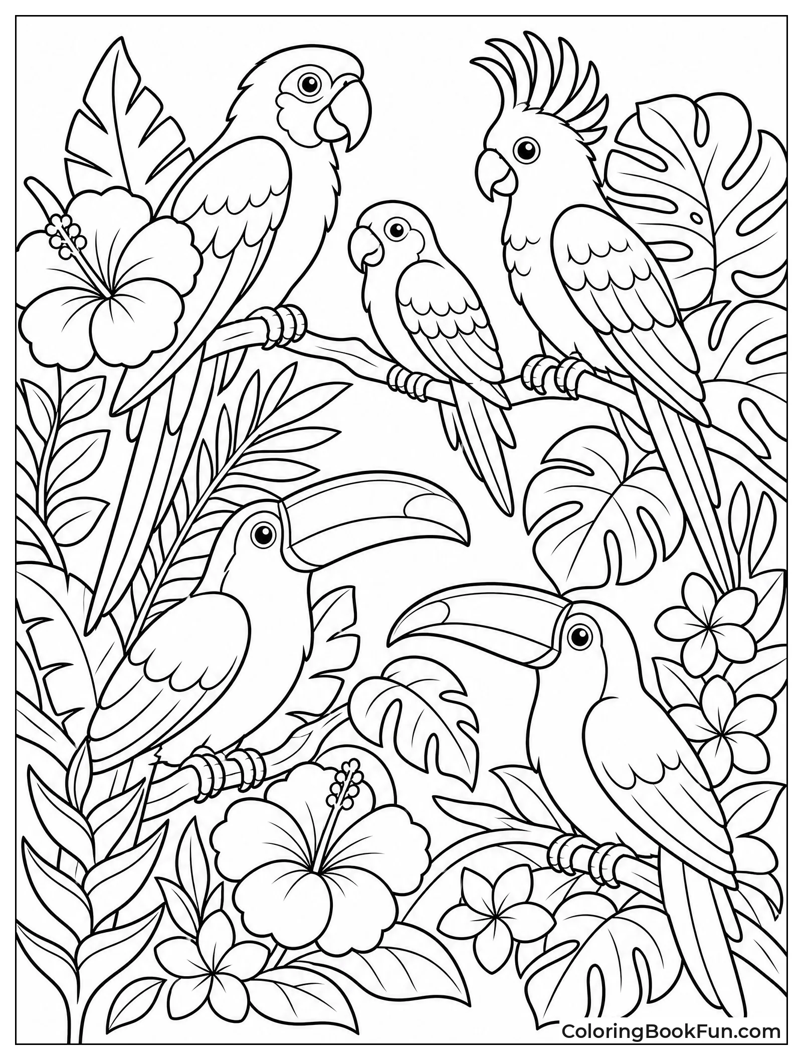Colorful Birds in Jungle