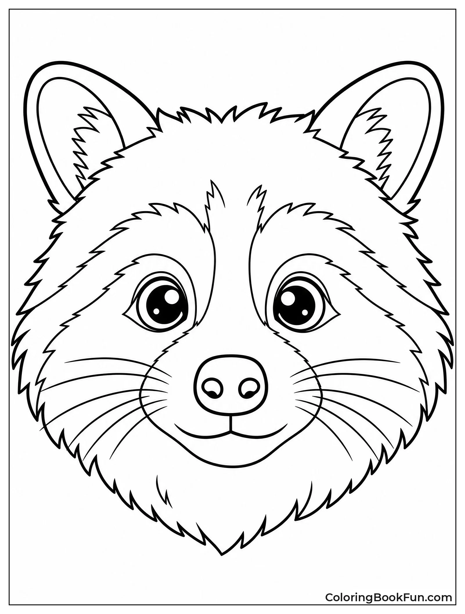 Detailed Raccoon Face Portrait