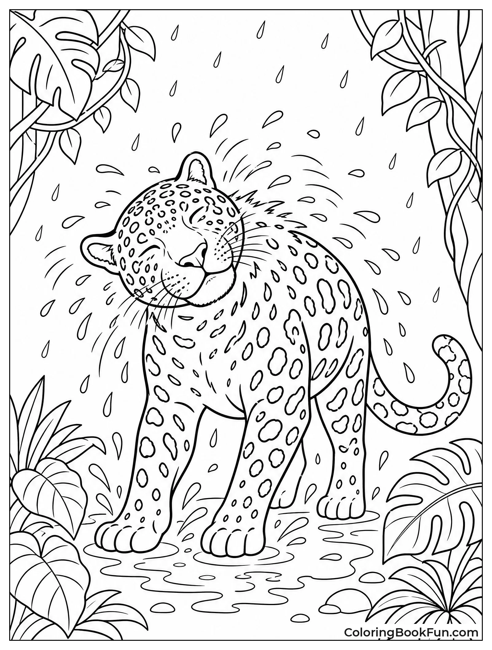 Jaguar Shaking Off Raindrops