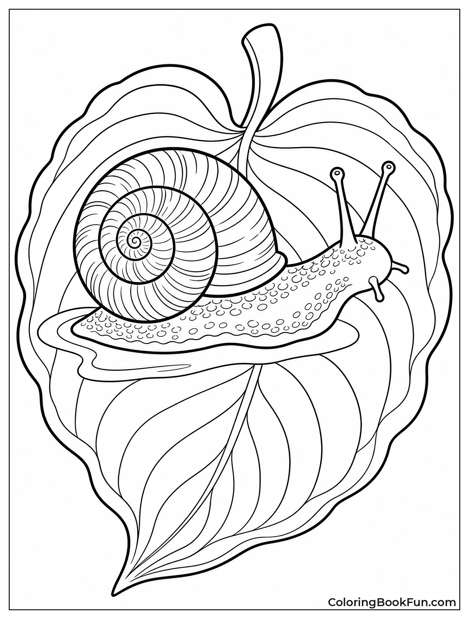 Realistic Garden Snail On Leaf