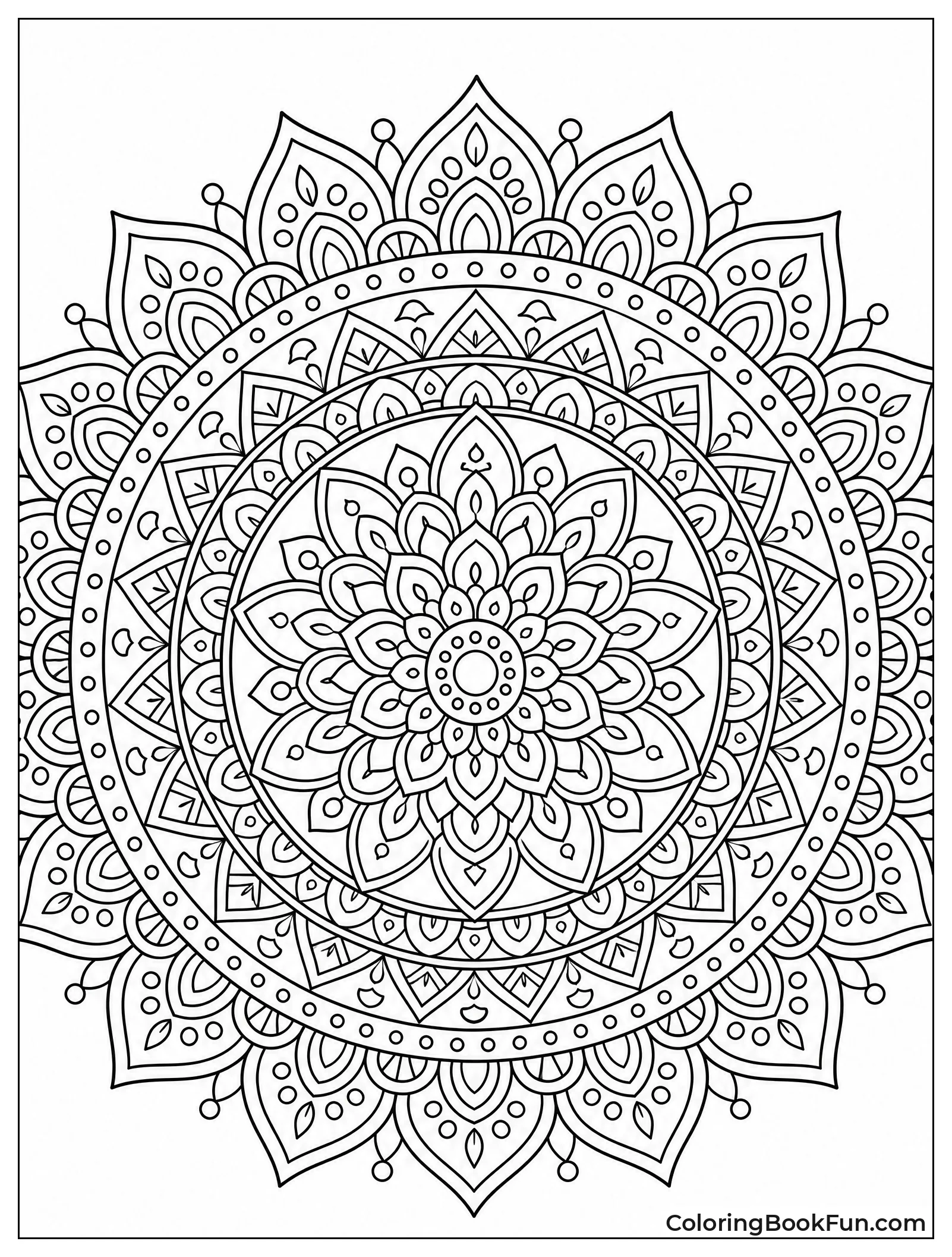 Detailed Mandala with Tiny Sections