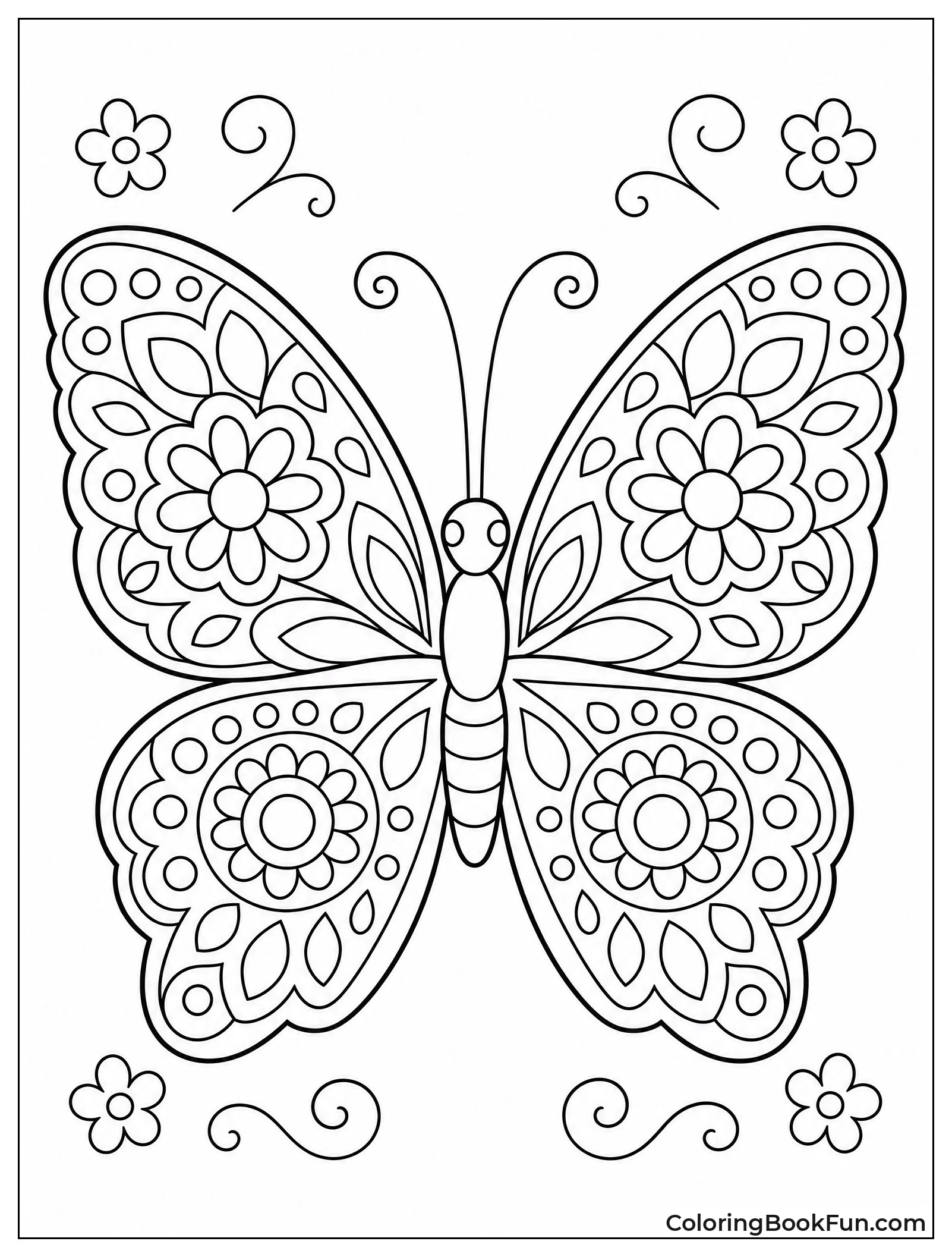 Butterfly with Mirrored Wing Patterns