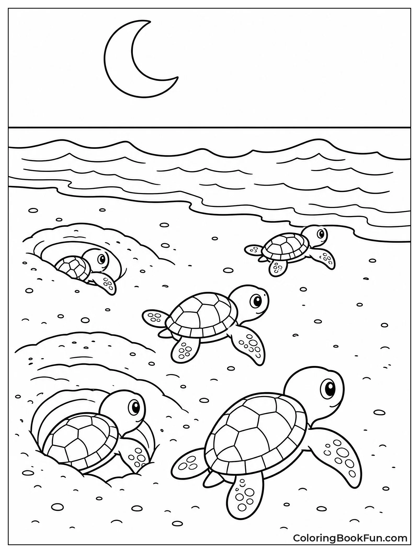 Baby Turtles Head To Ocean