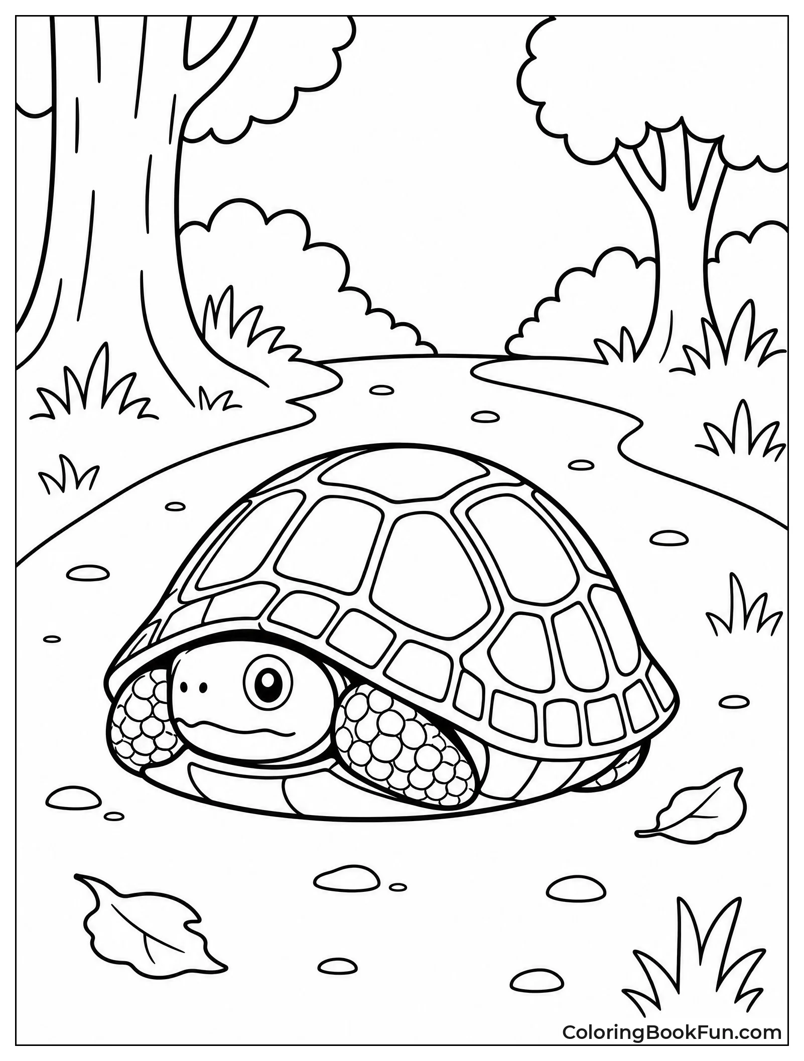 Turtle Crosses A Forest Path