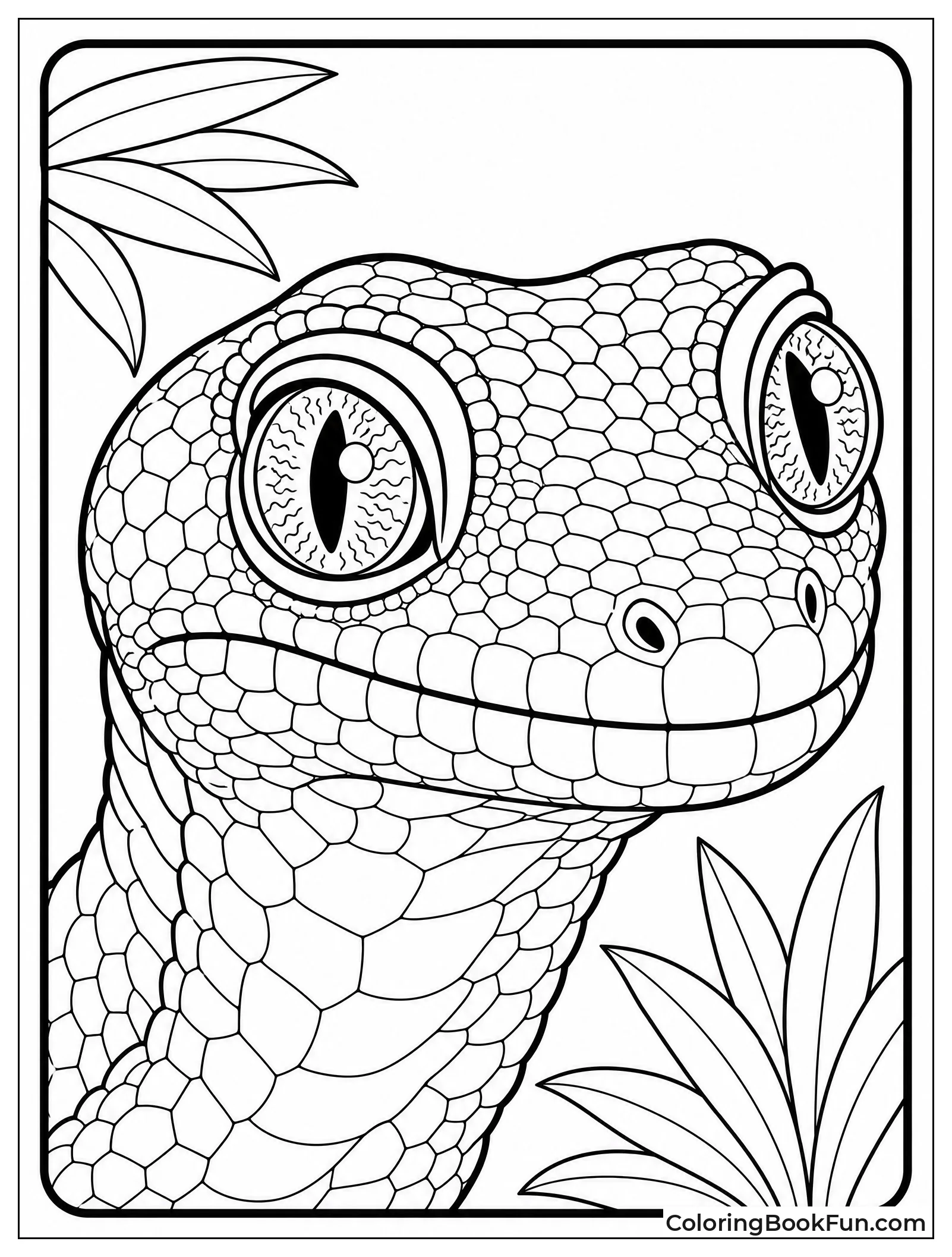Gecko Shows Its Big Eyes