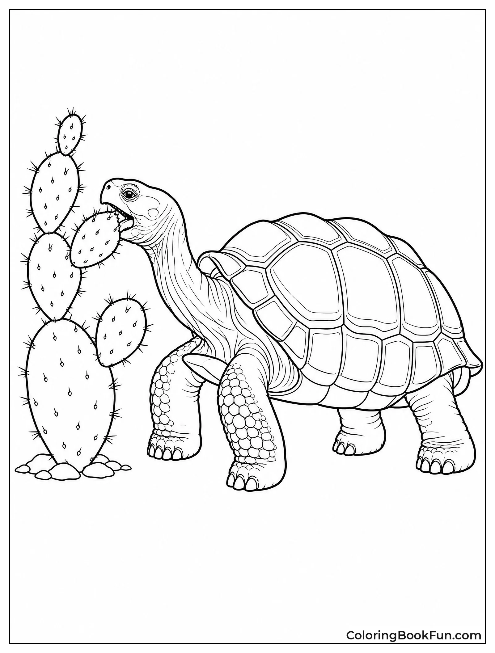 Tortoise Eats Cactus Slowly