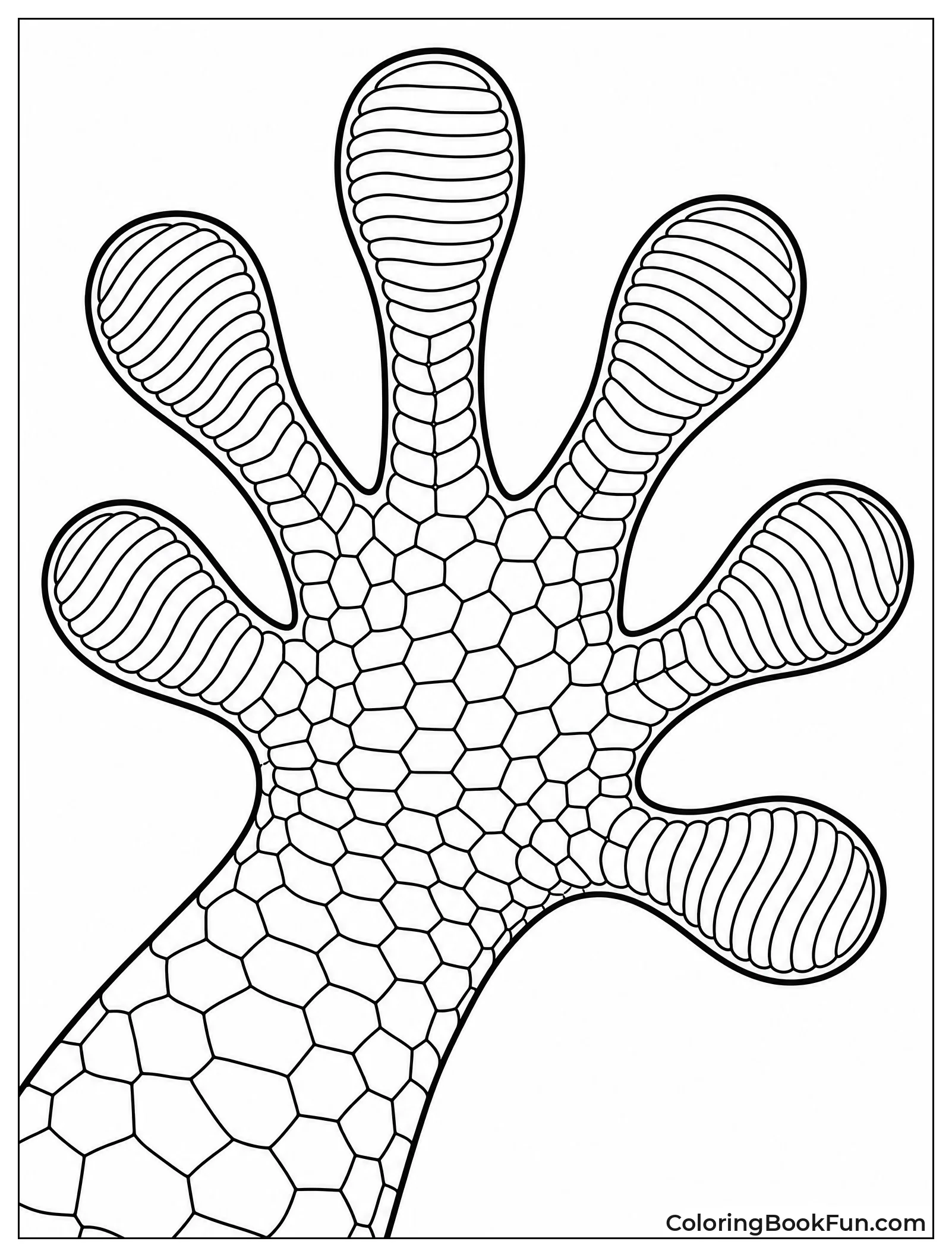 Gecko Foot Sticks To Glass