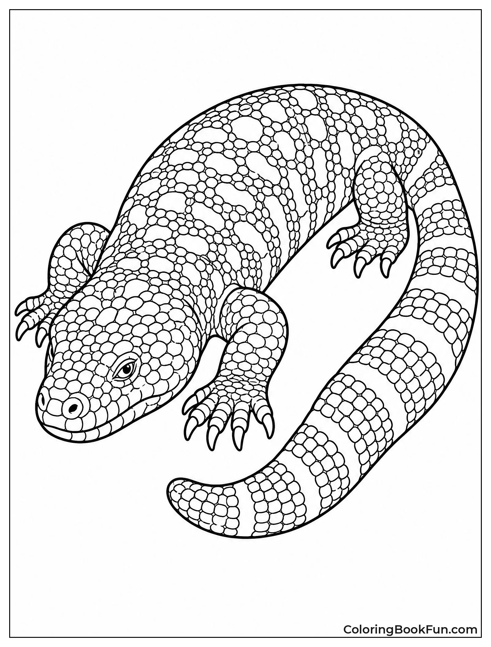 Gila Monster Shows Bright Colors