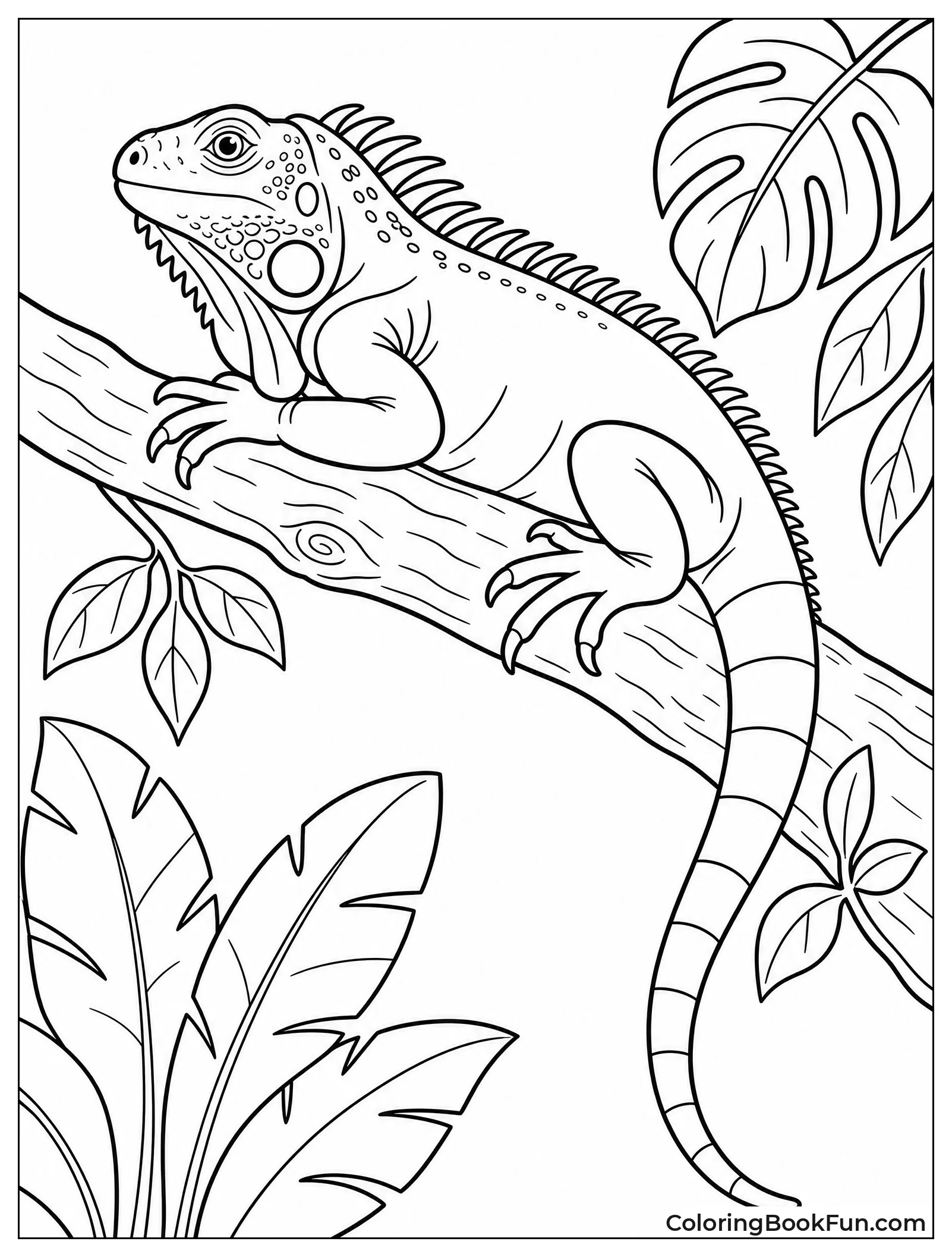 Iguana Sits High In Tree